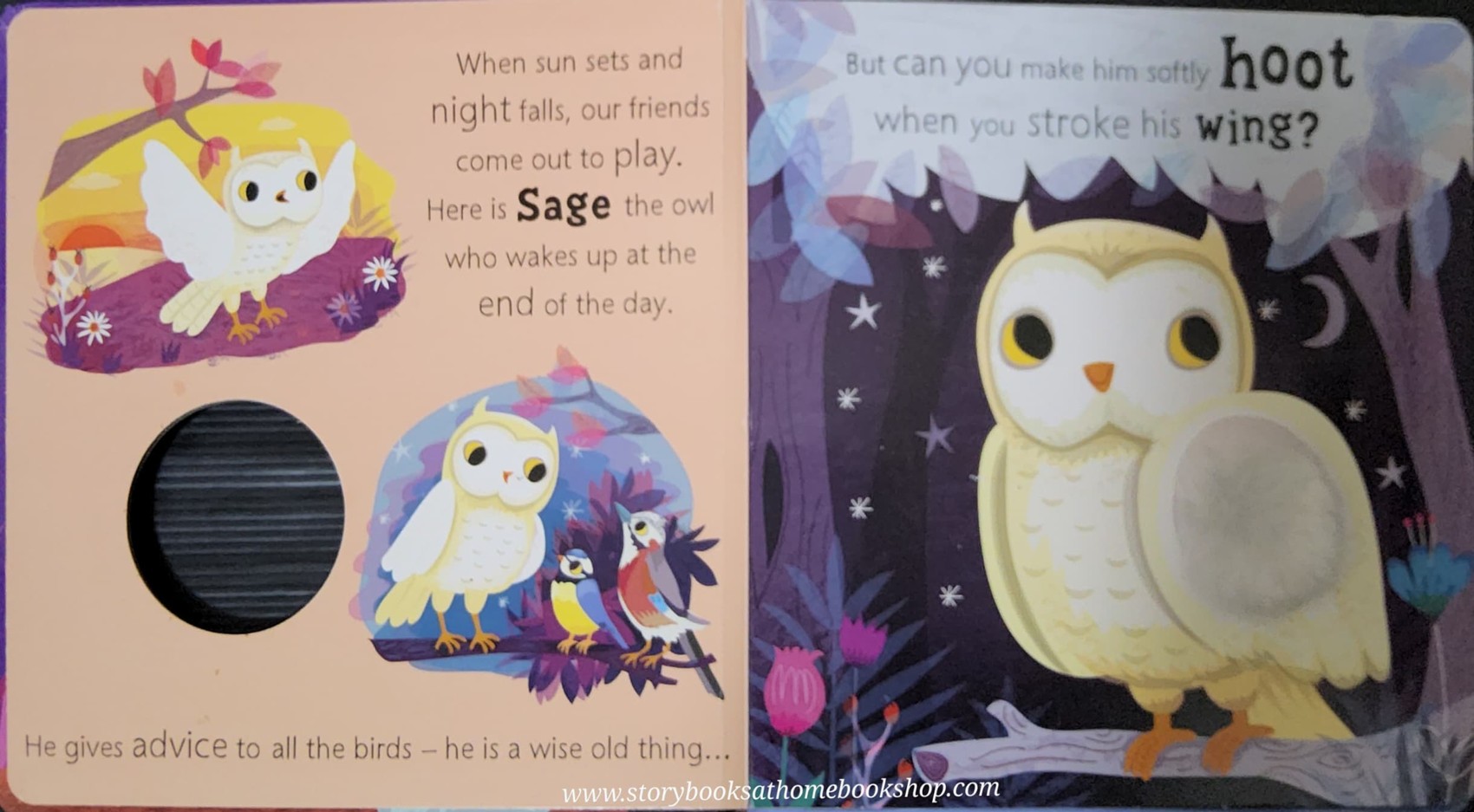 SOUND Board Book** 🍅🍓OWL SAYS HOOT WITH 6 SOUNDS