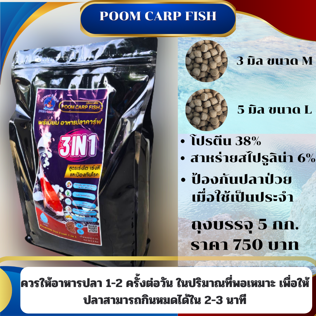 อาหารปลาคาร์ฟ เกรดพรีเมี่ยม POOMCARPFISH ครบทุกสูตรในซองเดียว สูตร 3 in 1 (เร่งโต+เร่งสี+ป้องกันโรค) เหมาะปลาคราฟทุกสายพันธ์ (บรรจุถุง 5 กก.)