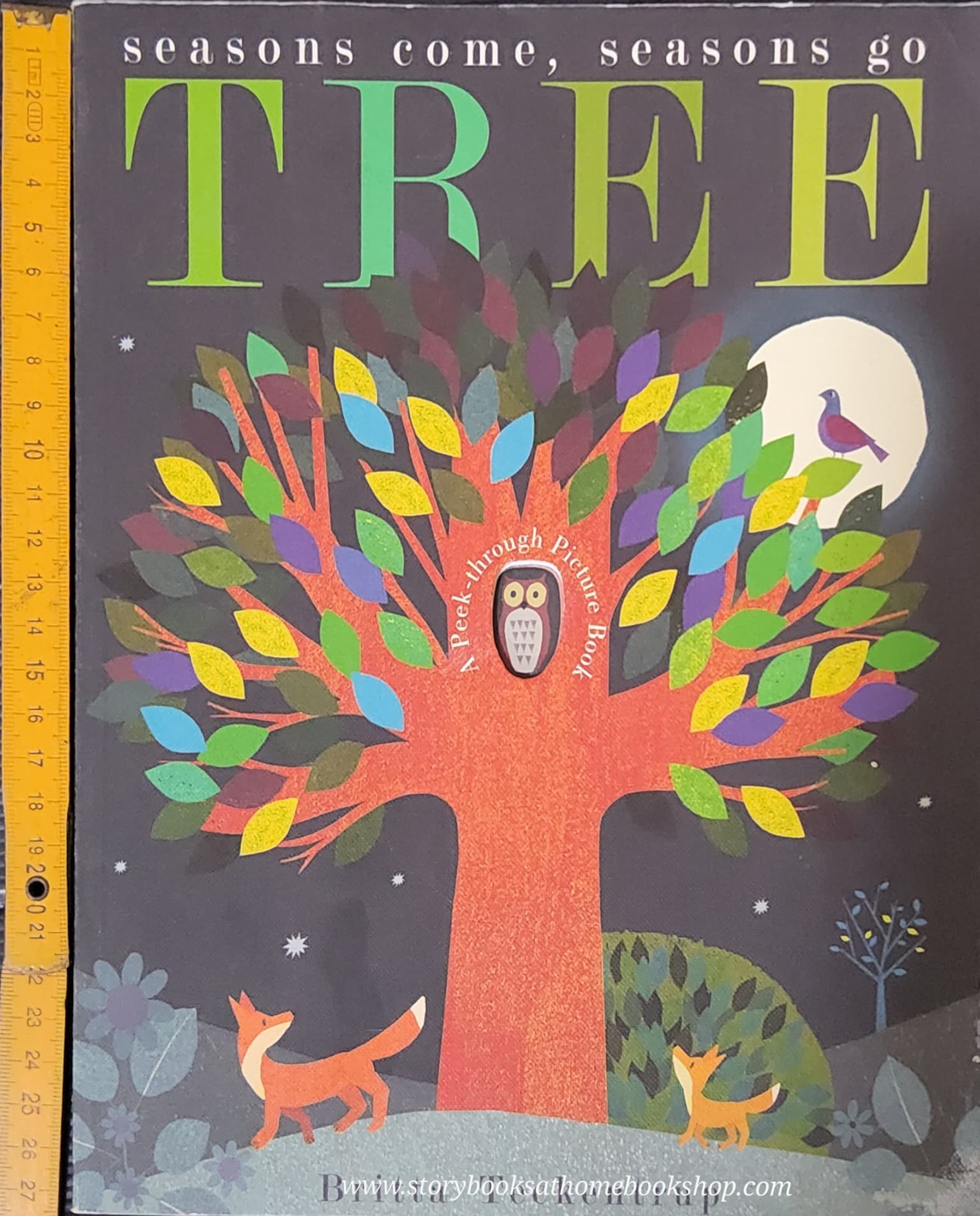 หนังสือนิทานปกอ่อน** 🍓🍓SEASONS COME,SEASONS GO TREE