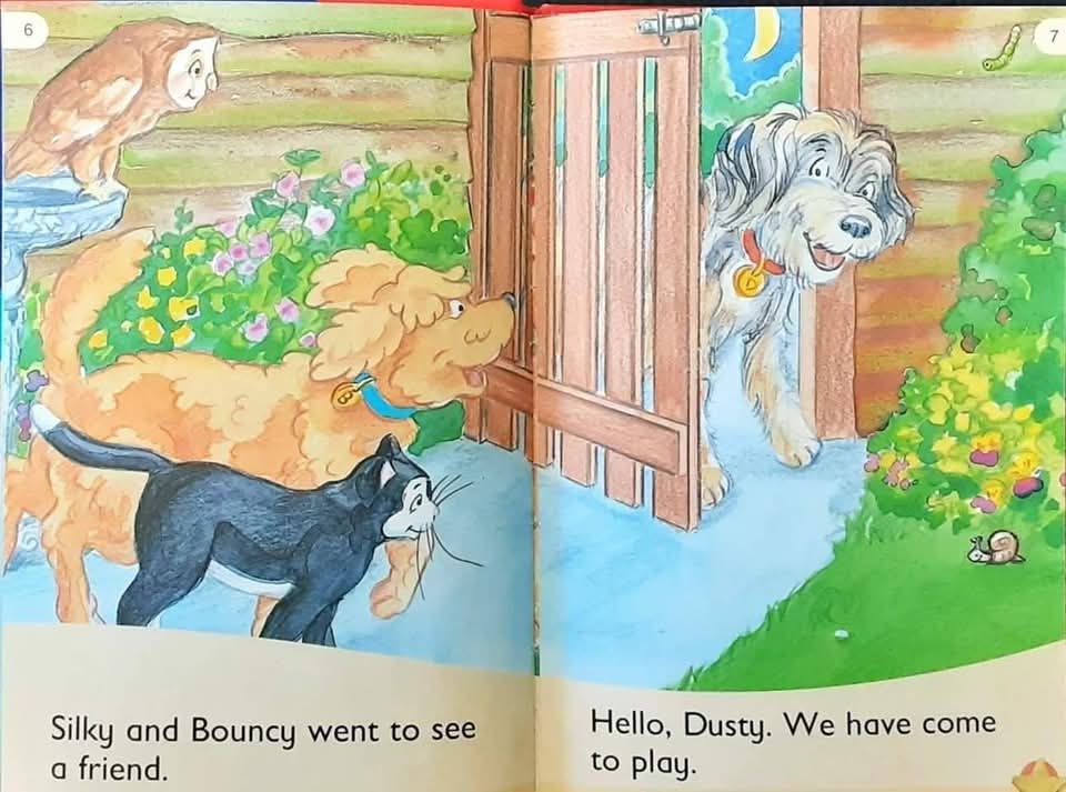 หนังสือนิทานปกแข็ง** 🍅🍓Key Words Readers:Come down,Silky Level2