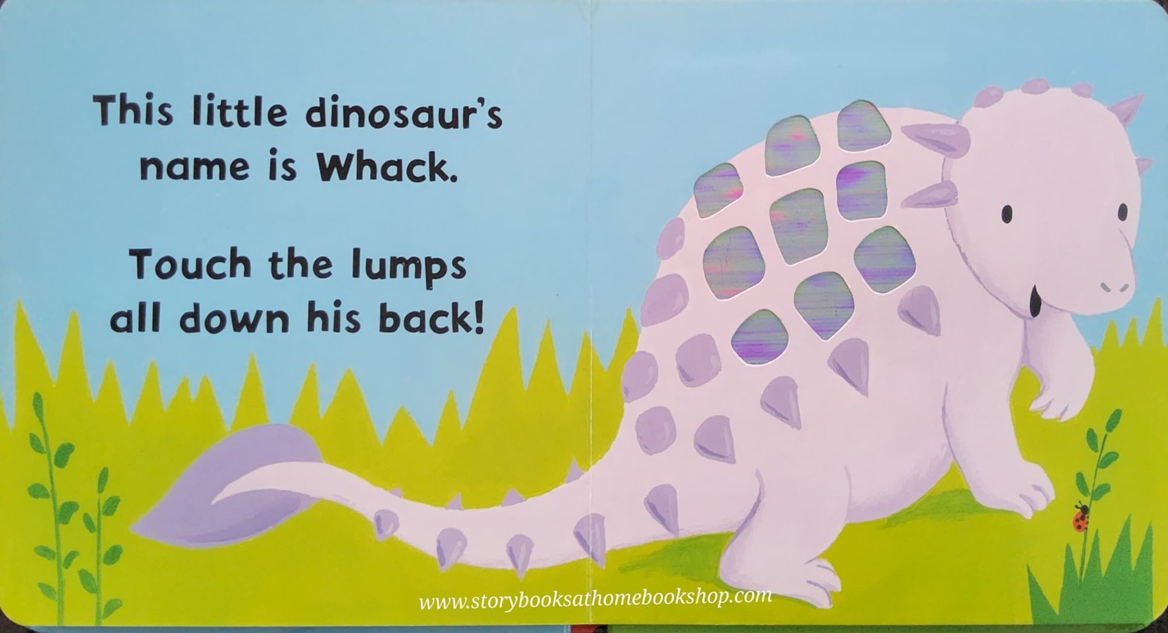 TOUCH AND FEEL BOARD BOOK** 🍅🍓THIS LITTLE DINOSAUR