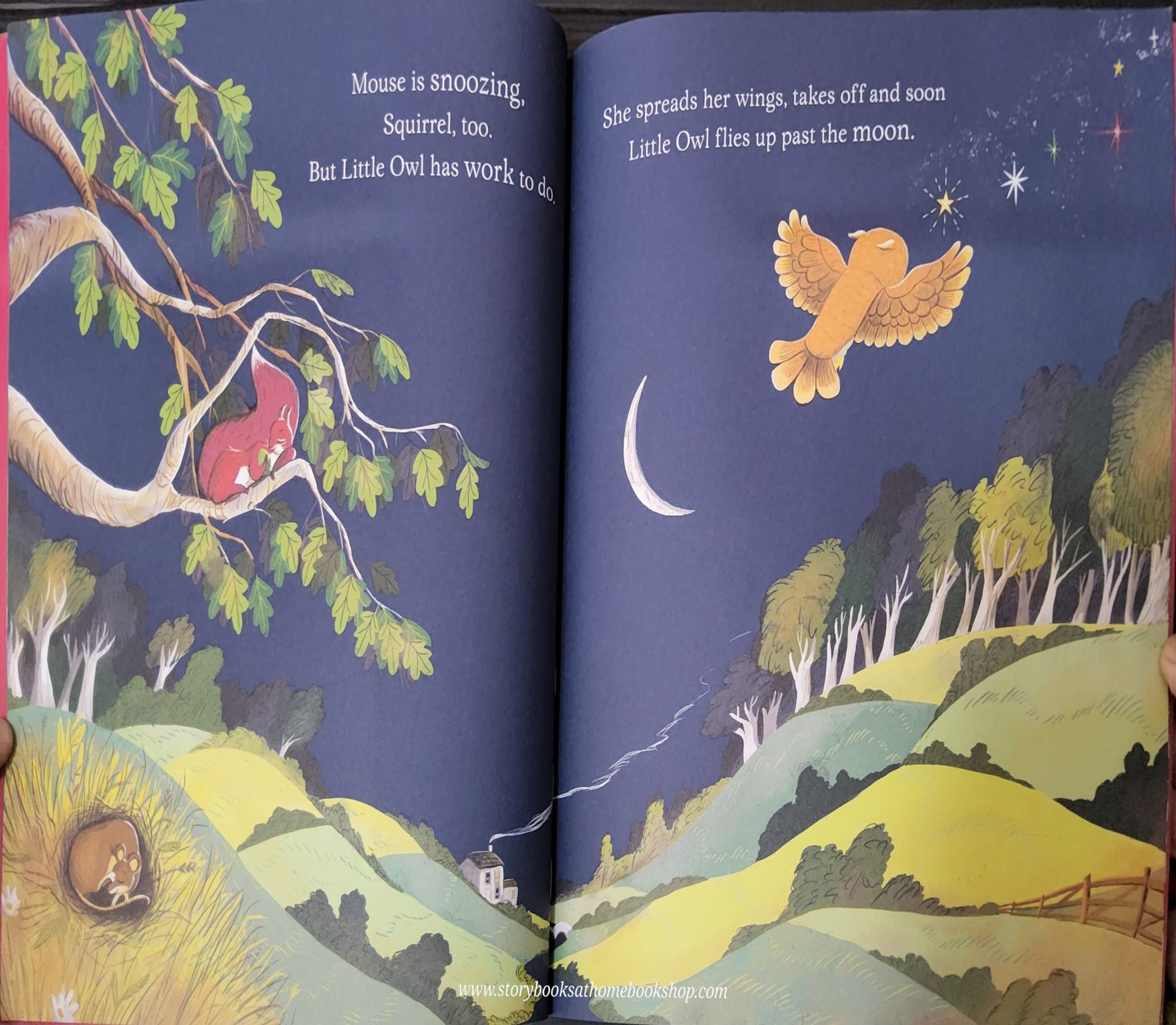 หนังสือนิทานปกอ่อน** 🍅🍅HERE COMES THE SUN