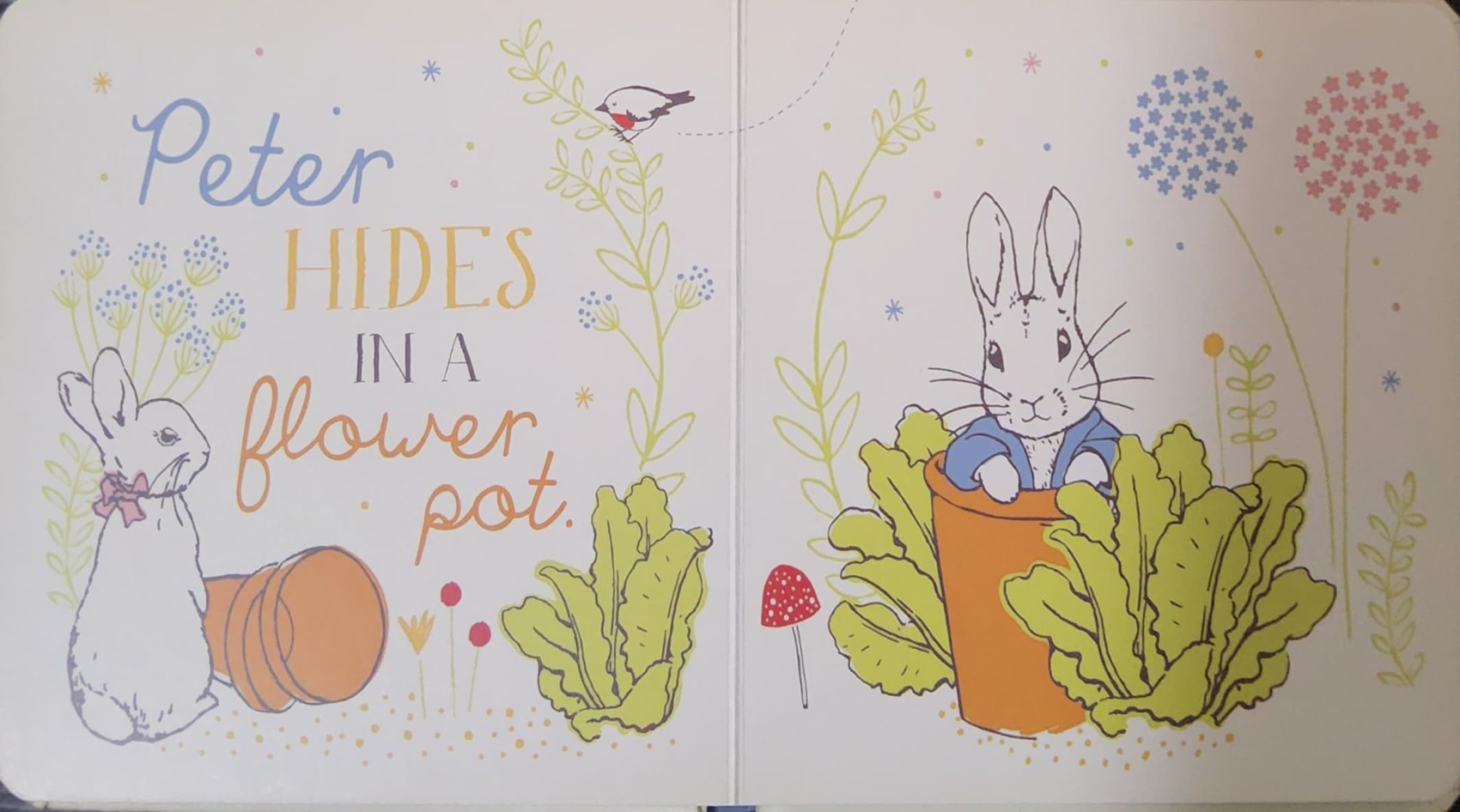 BOARD BOOK** 🍅🍓PETER RABBIT HELLO PETER!