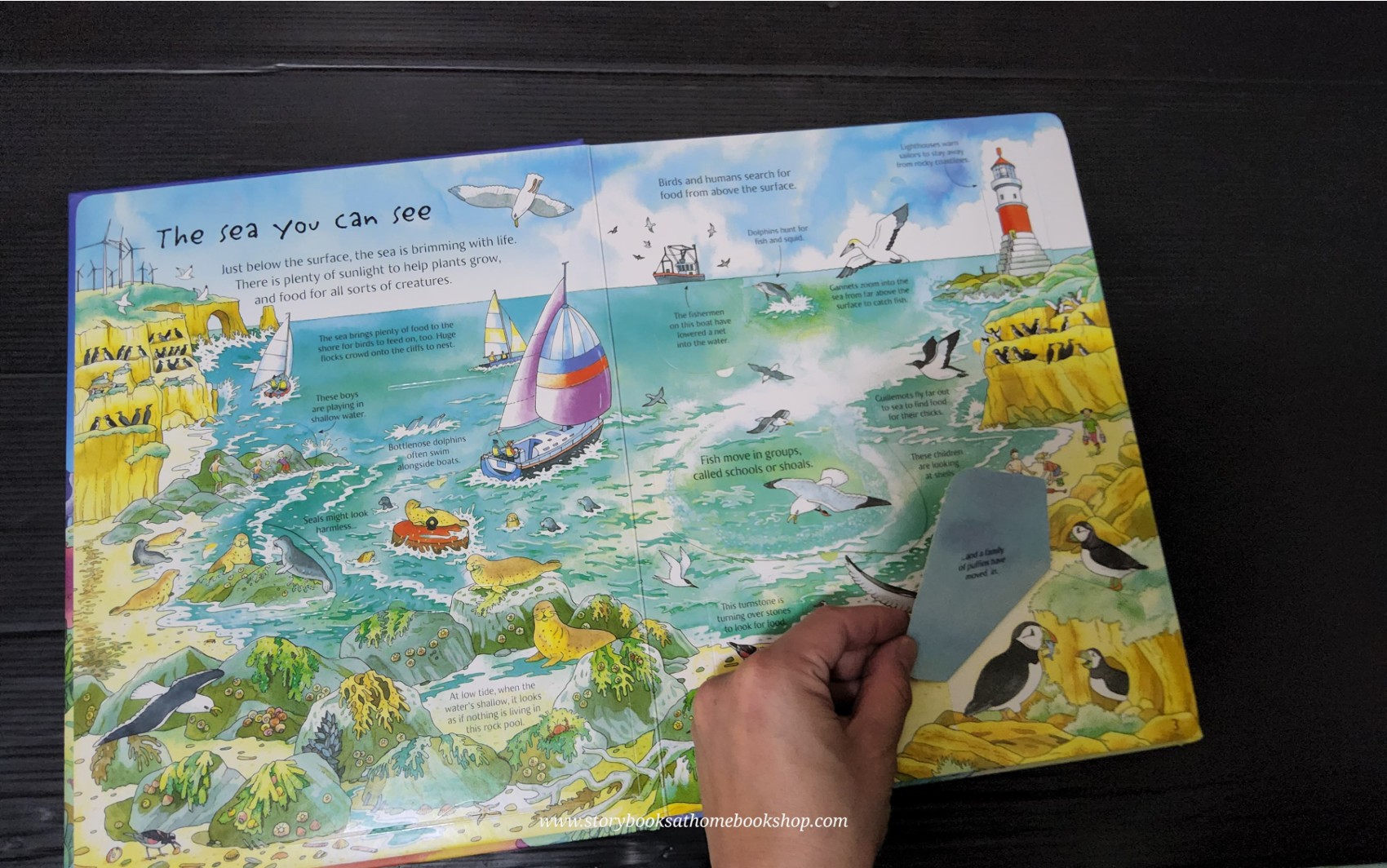 RECOMMENED SCIENCE BOOK** **Knowledge Book** ð
ð
An Usborne Flap book See UNDER THE SEA with over 80 flaps to lift