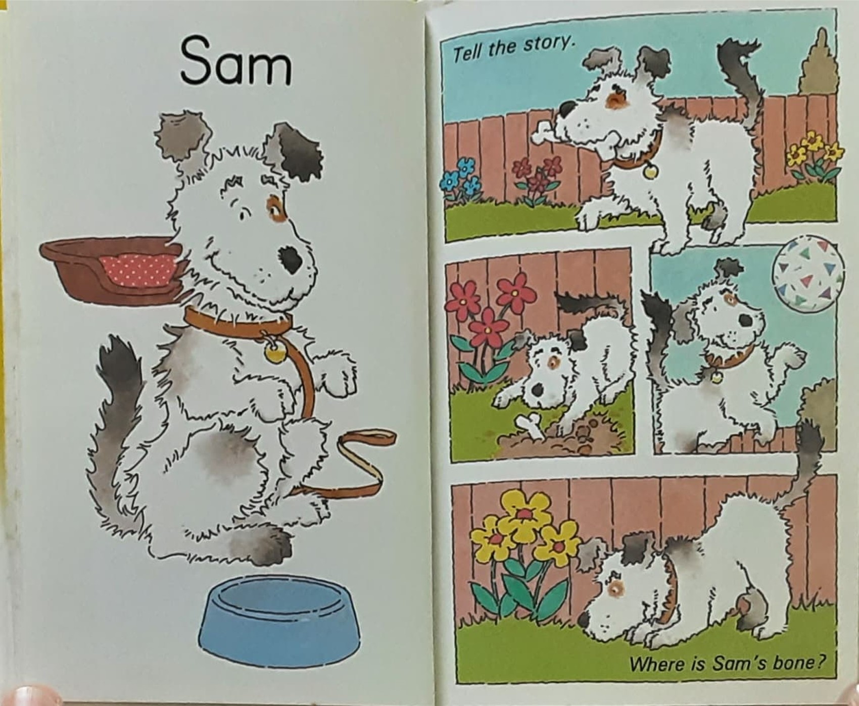 หนังสือนิทานปกแข็ง** 🍅🍓Read with me First words a pre reader