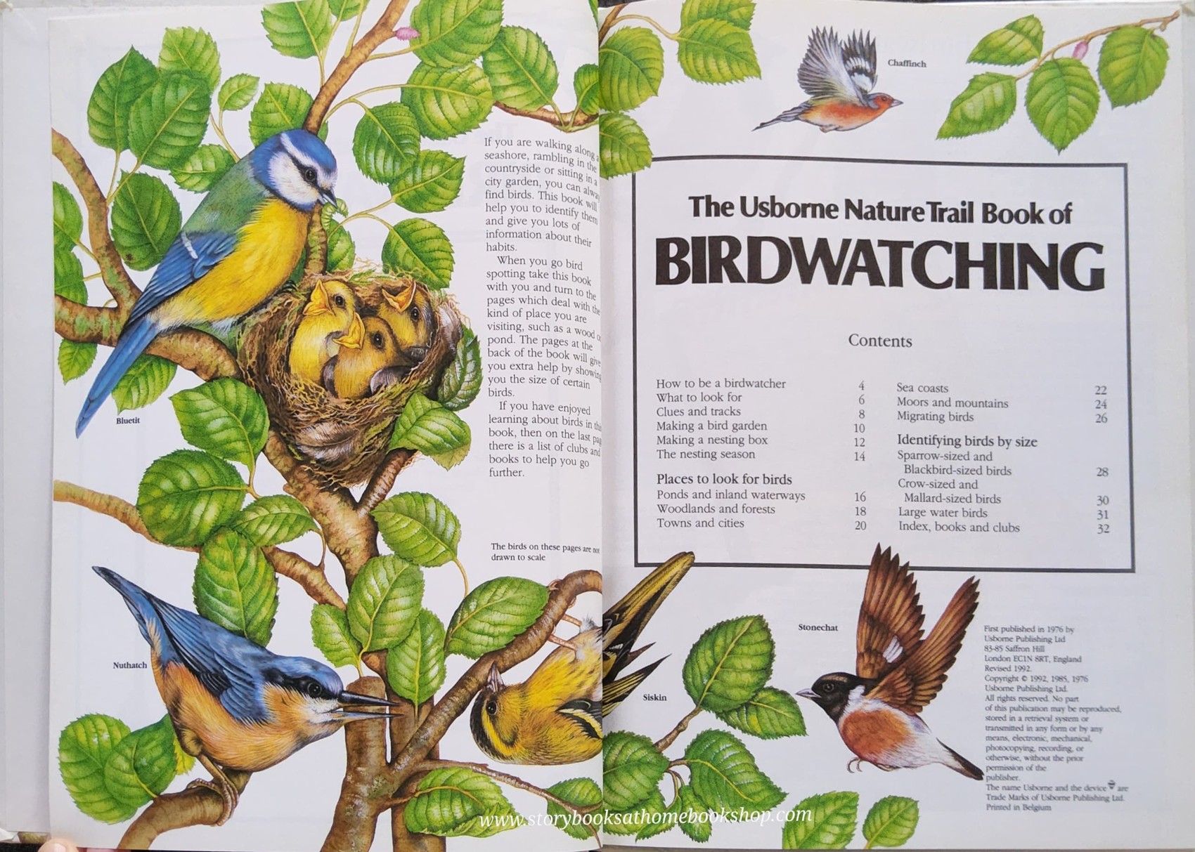 KNOWLEDGE BOOK** 🍓🍓THE USBORNE NATURETRAIL BOOK OF BIRDWATCHING