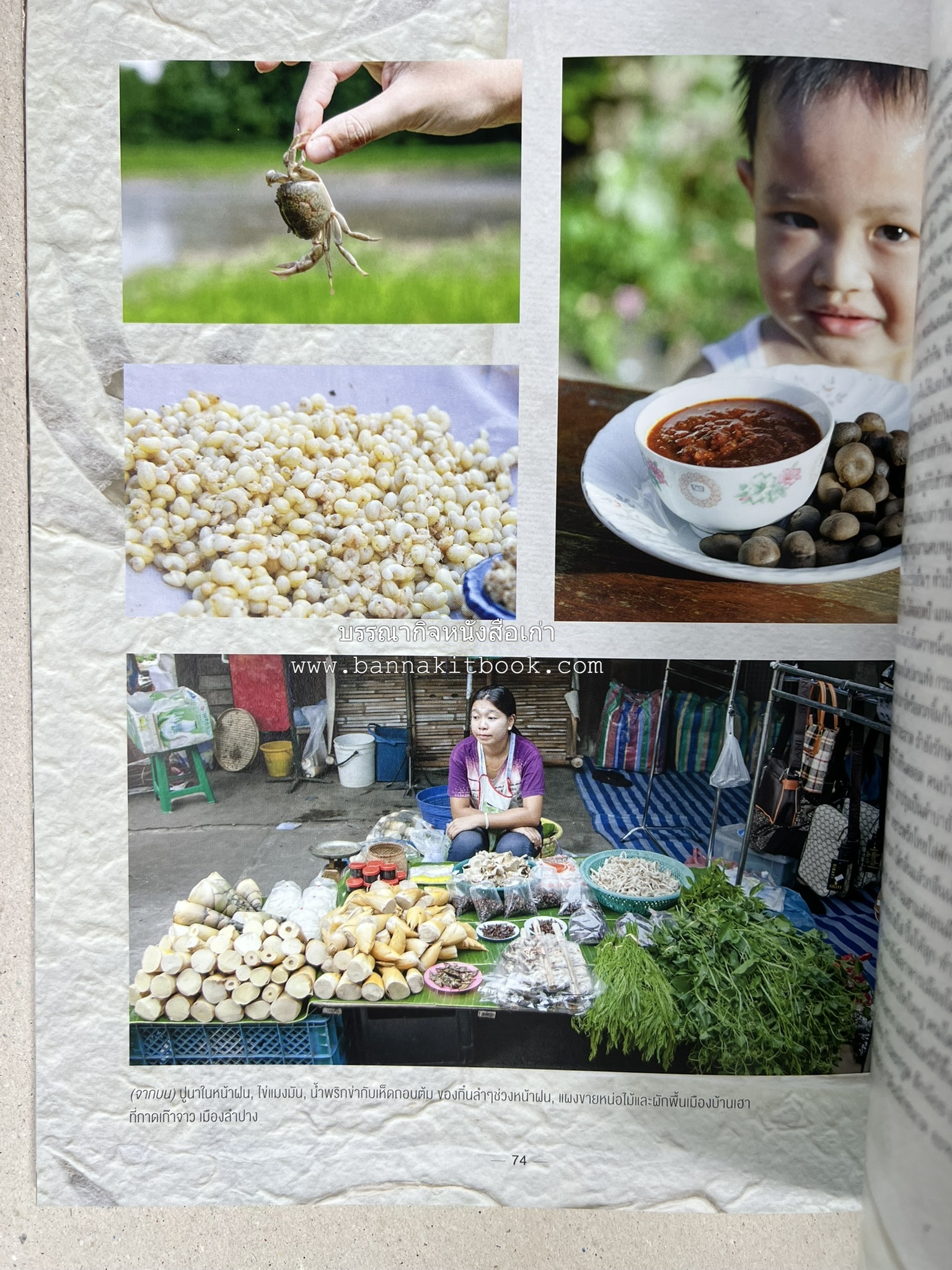 ตำรับอาหารเหนือ ถิ่นล้านนา ของกินบ้านเฮา นิตยสารครัว ฉบับมกราคม 2558.