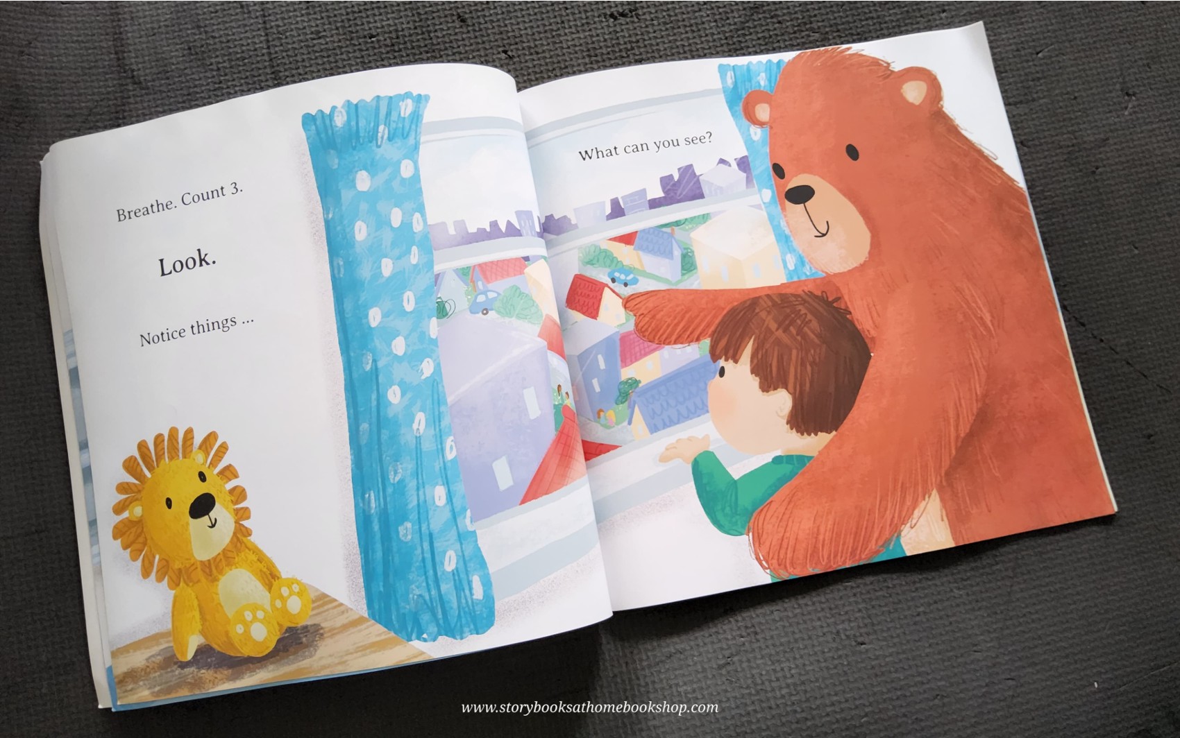 หนังสือนิทานปกอ่อน** 🍅BEAR'S LITTLE BOOK OF CALM