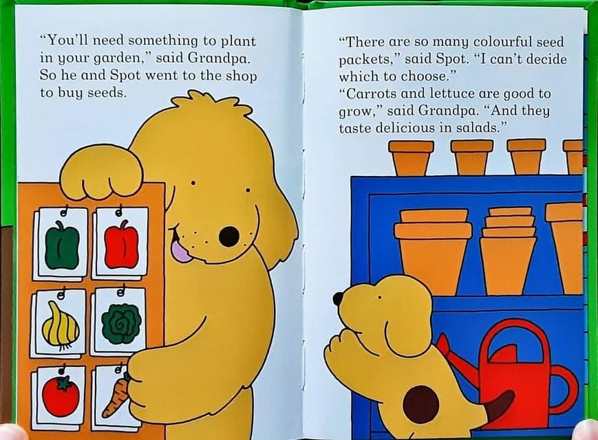 หนังสือนิทานปกแข็ง ** 🍅🍓 Spot's Garden by Eric Hill