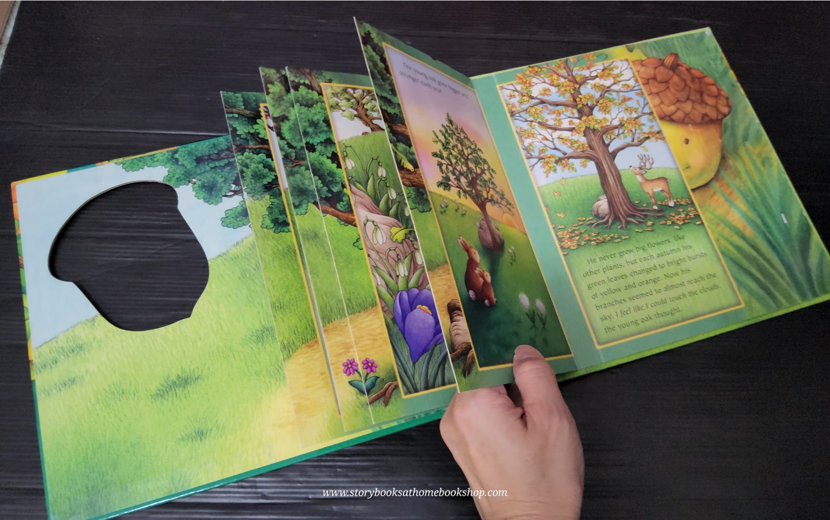 หนังสือนิทานปกแข็ง** 🍅🍅THE ACORN AND THE OAK TREE