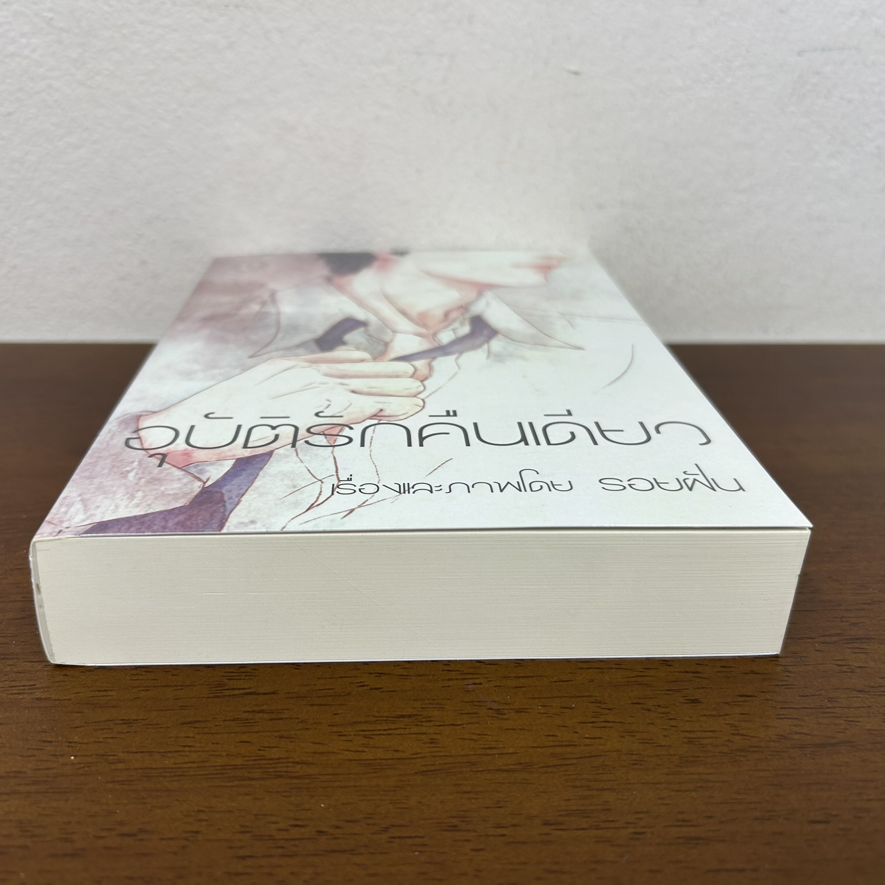 อุบัติรักคืนเดียว ... รอยฝัน (มือสอง) นิยาย โรแมนติก ทำมือ