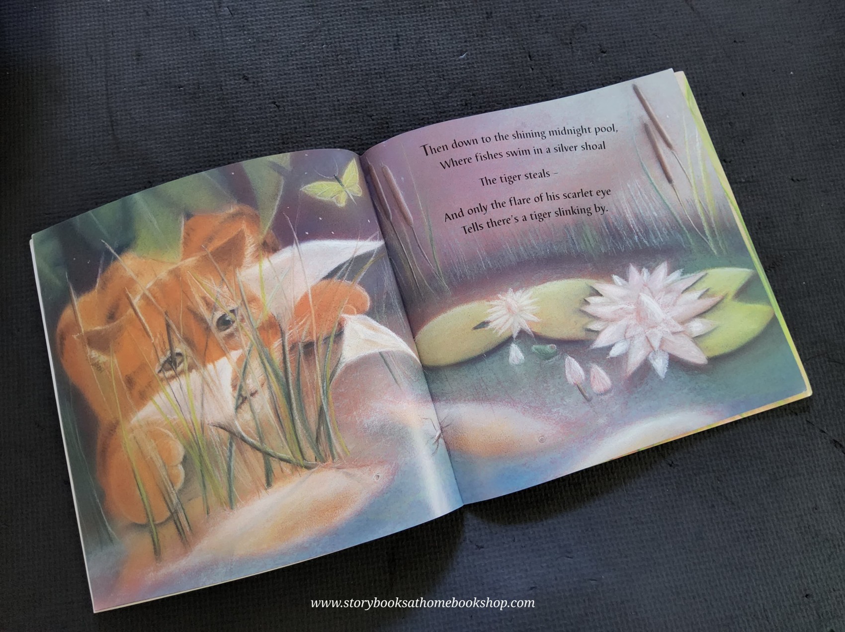 หนังสือนิทานปกอ่อน** 🍅🍓MIDNIGHT TIGER