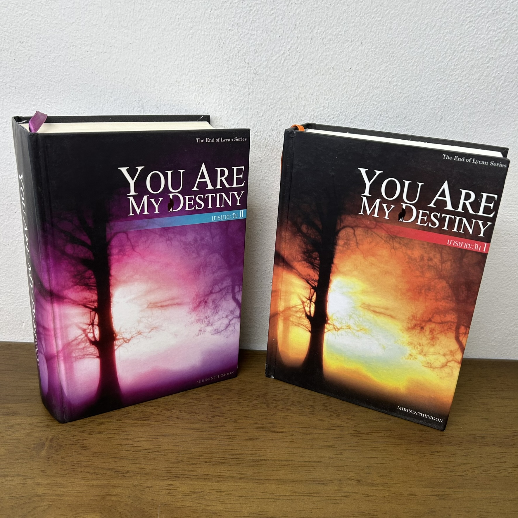 You Are My Destiny มารยาตะวัน เล่ม 1-2 จบ ครบชุด ... Mirininthemoon (มือสอง) ปกแข็ง นิยาย โรแมนติก ทำมือ