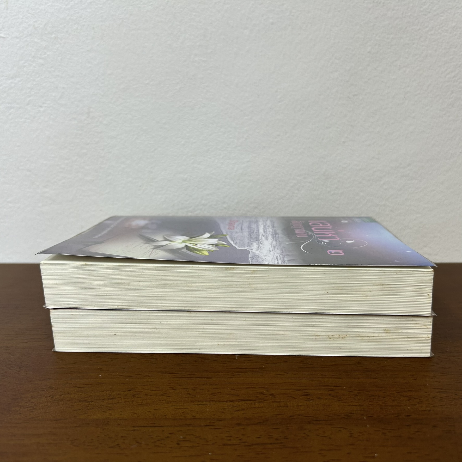 เสน่หาสัญญาแค้น เล่ม 1-2 จบ ครบชุด ... Shayna (มือสอง) นิยายรัก โรแมนติก อรุณ