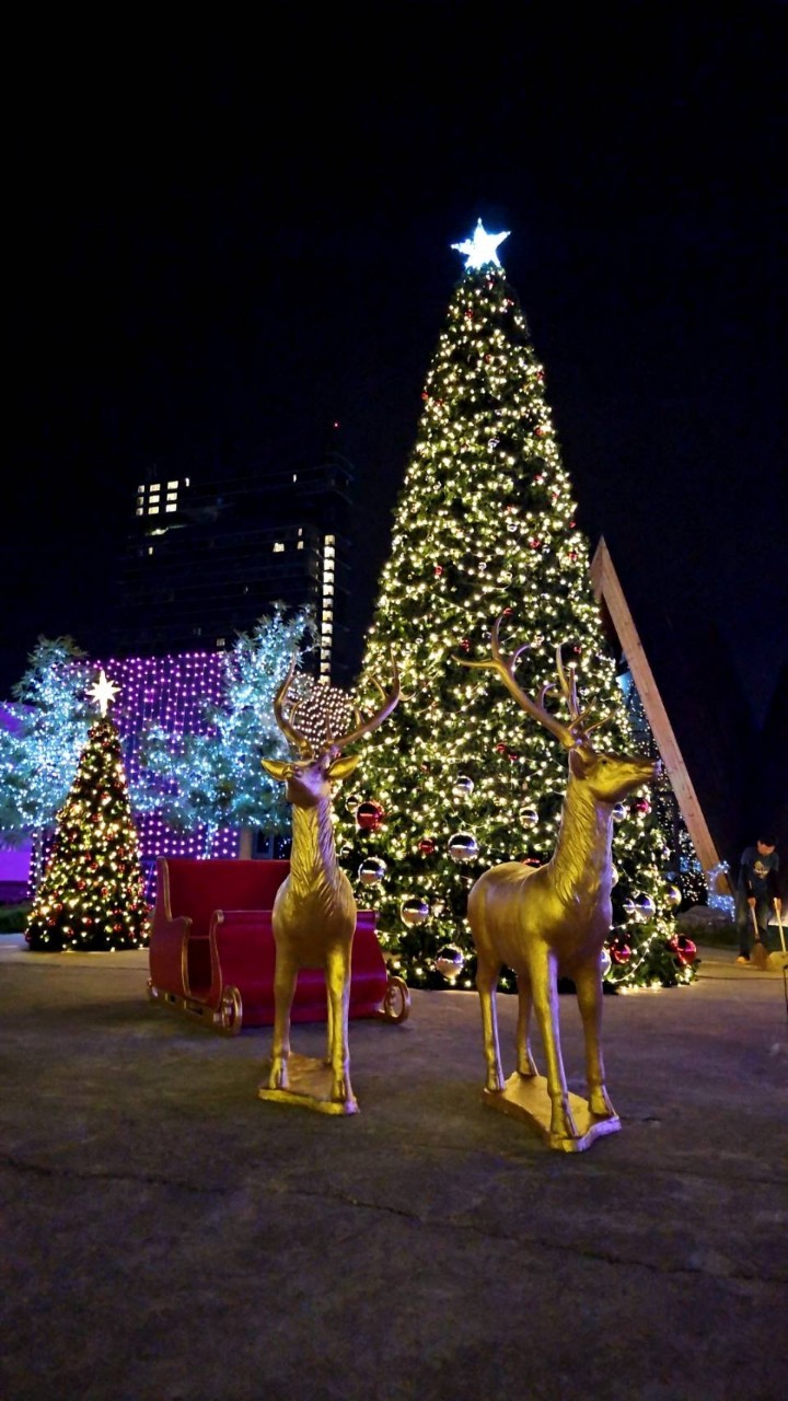 เลื่อนลากคริสต์มาสนั่งถายภาพสวยๆ