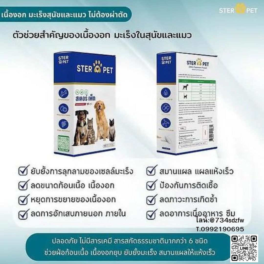 เซตทดลอง สเตอร์ เพ็ท Ster Pet เนื้องอกหมาแมว ก้อนเนื้อหมาแมว มะเร็งสุนัขแมว ลดอักเสบ ลดขนาดก้อนเนื้อ เบื่ออาหาร น้ำหนักลด ไตวายหมาแมว แผลยุบเร็ว ( 15 แคปซูล)