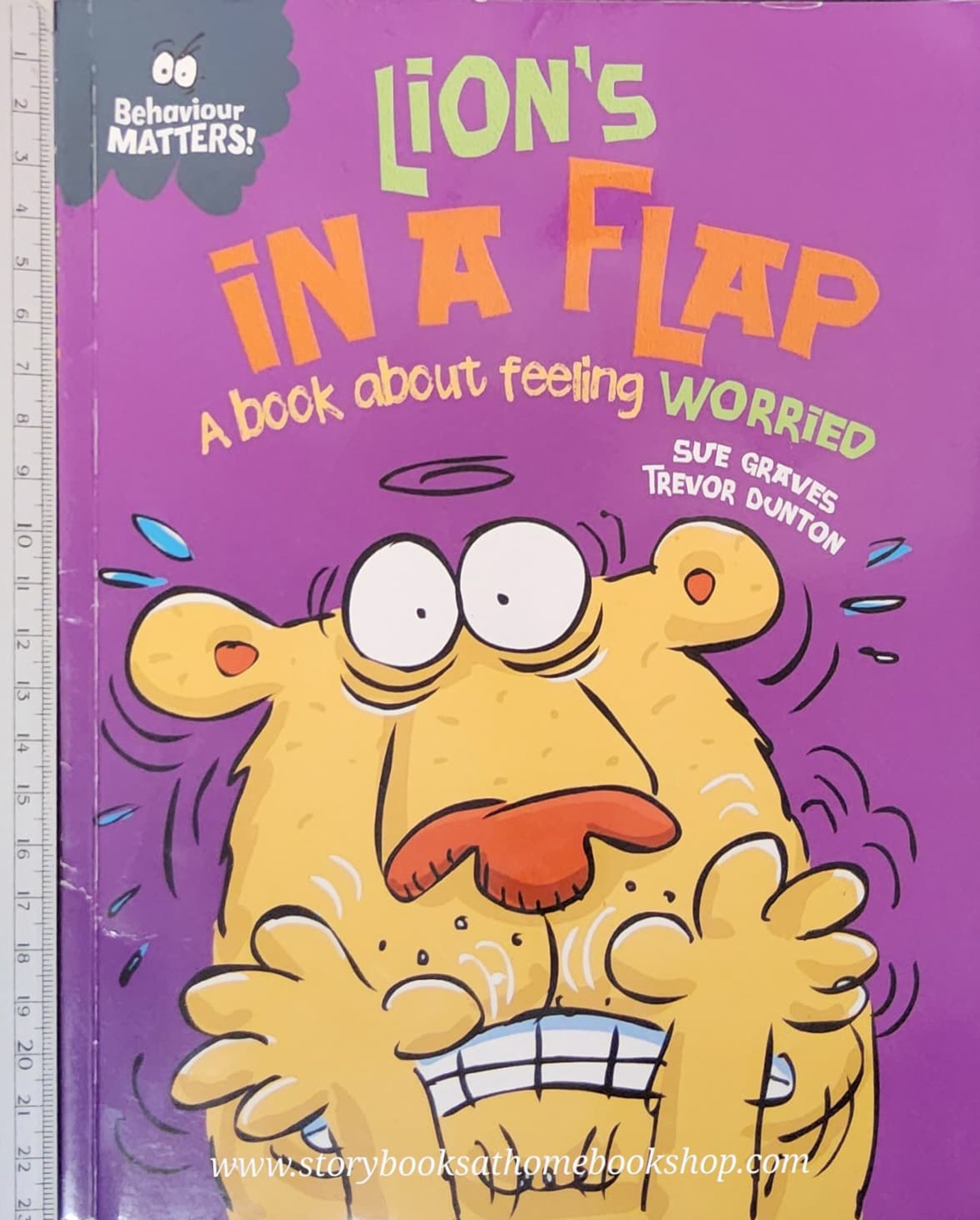 LION'S IN A FLAP A BOOK ABOUT FEELING WORRIED BY SUE GRAVES AND TREVOR DUNTON