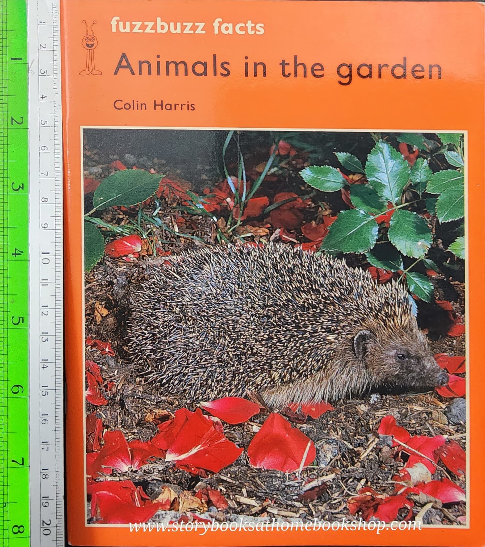 Knowledge Book** 🍅🍅FUZZBUZZ FACTS: ANIMALS IN THE GARDEN LEVEL2