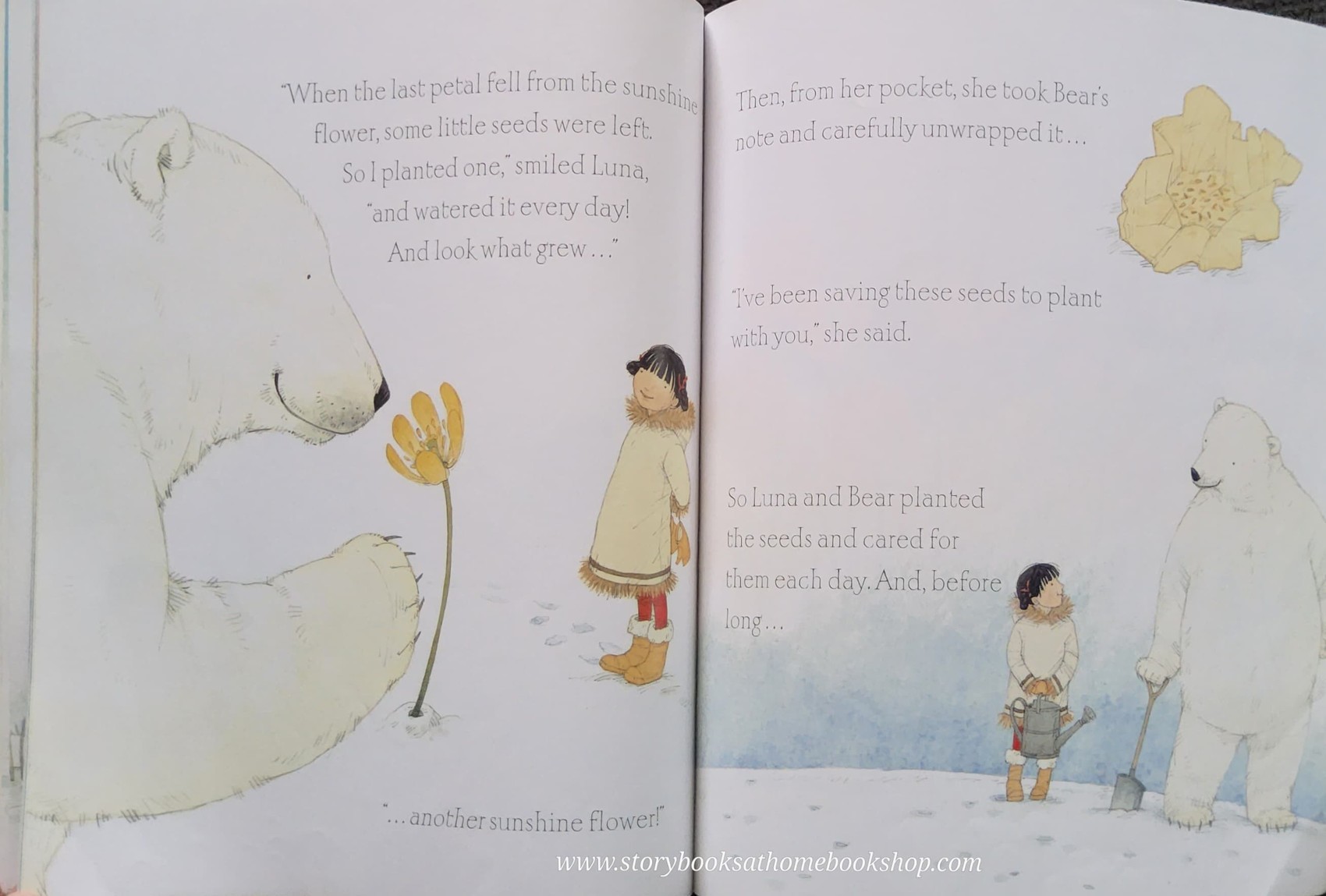 หนังสือนิทานปกอ่อน** 🍅🍓 A FLOWER IN THE SNOW BY TRACEY CORDEROY.SOPHIE ALLSOPP