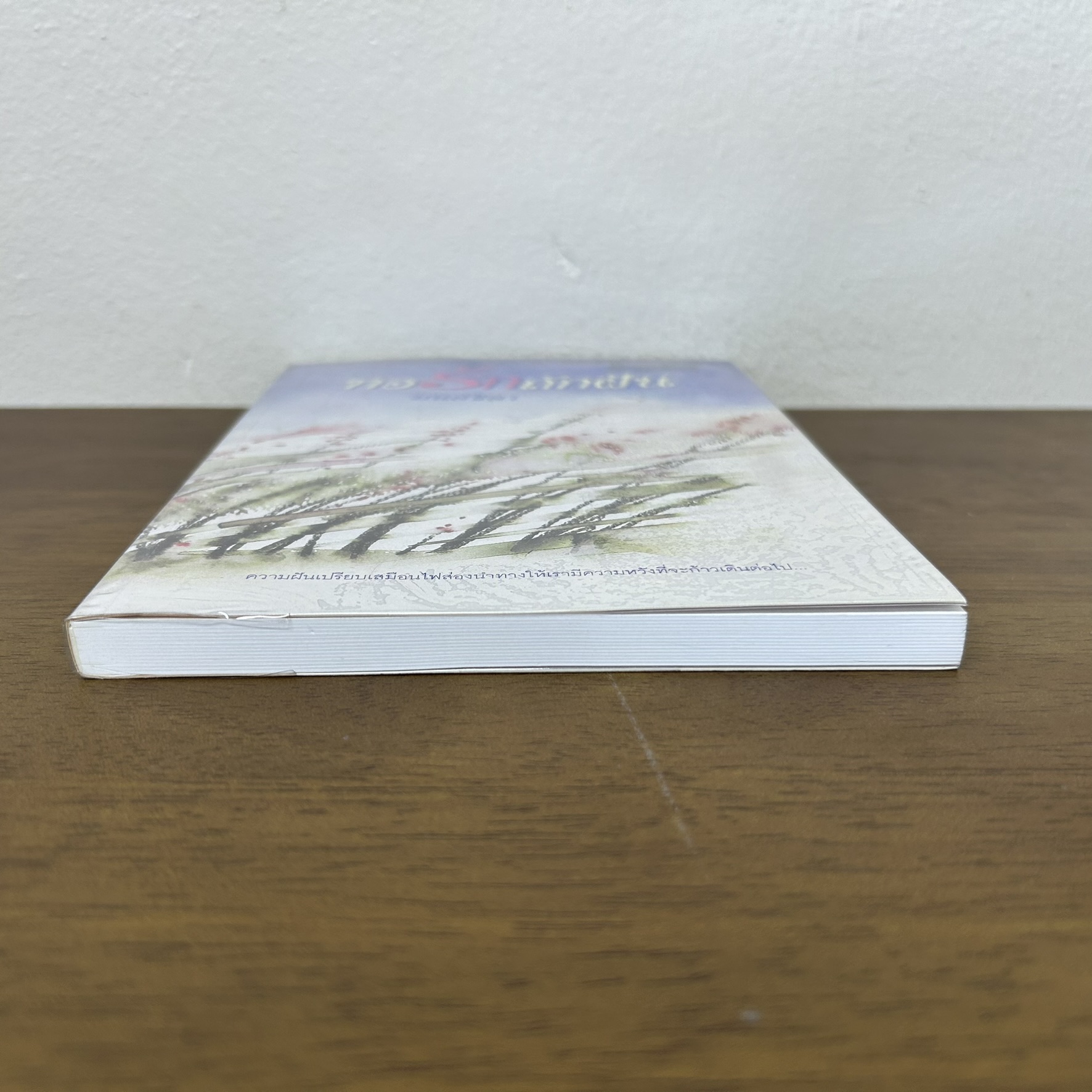 ทอรักถักฝัน ... มนต์ชิตา (มือสอง) นิยาย โรแมนติก เพื่อนดี