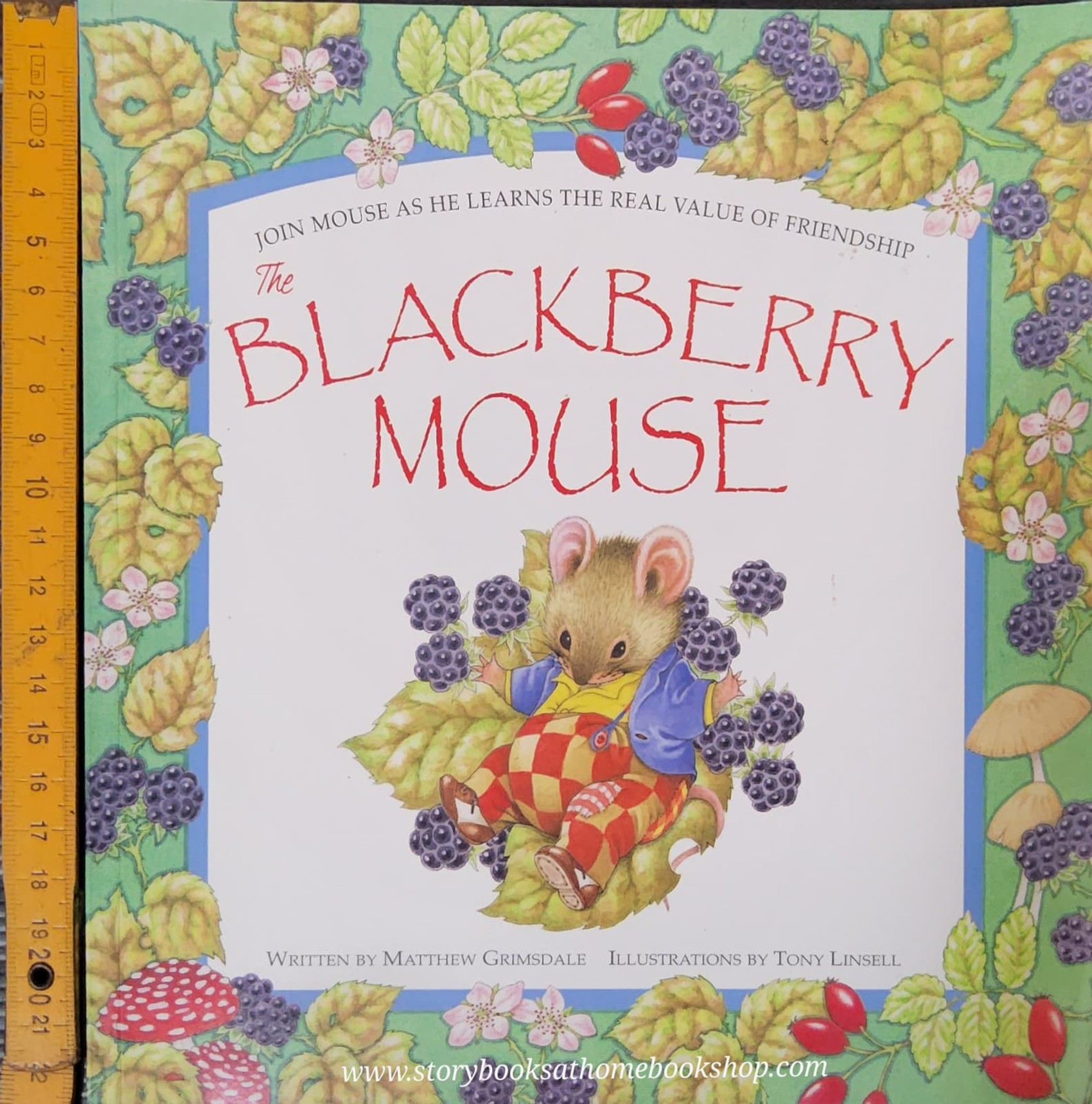หนังสือนิทานปกอ่อน ** 🍅🍓THE BLACKBERRY MOUSE