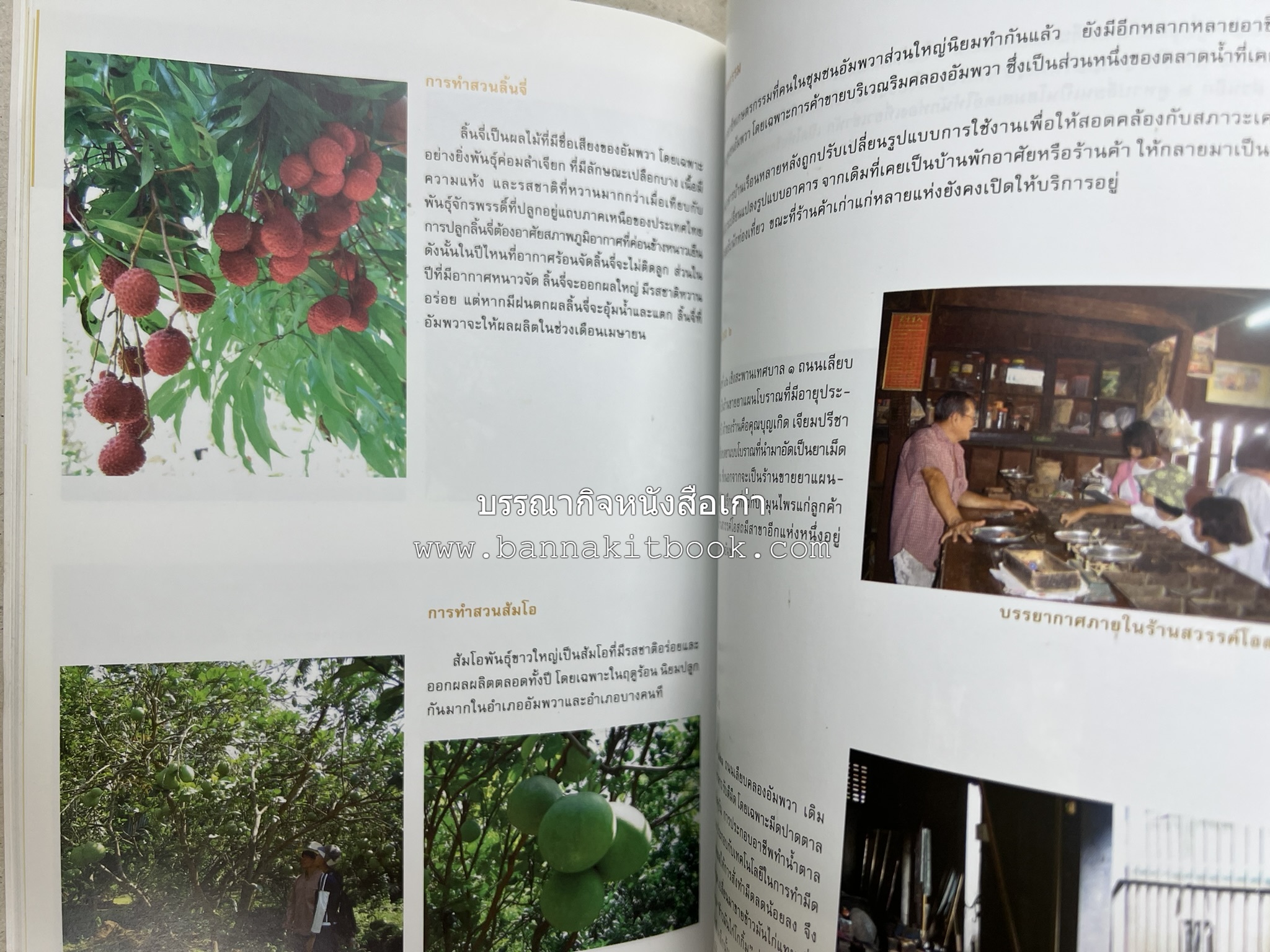 เที่ยวชุมชนอัมพวา โดย : รศ.ดร.วรรณศิลป์ พีรพันธ์ คณะสถาปัตยกรรม จุฬาลงกรณ์มหาวิทยาลัย.