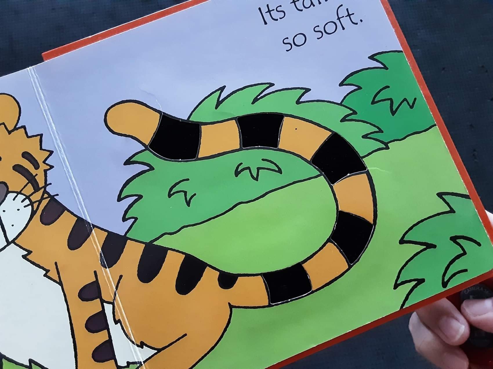 Touch and Feel Board Book** 🍅🍓That's not my tiger...♥️♥️