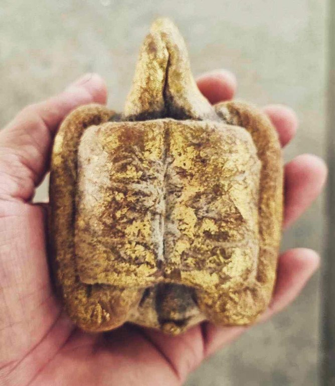 เต่าสำลีี ชุบเทียน ปิดทอง ขนาดบูชา ครูบาชัยยะวงศา วัดพระพุทธบาทห้วยต้ม เจ้าของเดิมชื่ออ้ายชัย อายุ 45 ปี อยู่ อ.บ้านโฮ่ง จ.ลำพูน เคยบวชเป็นพระวัดพระพุทธบาท ห้วยต้มเมื่อปี 2545-2550 อ้ายชัยเล่าว่าท่านได้เช่าต่อจากกะเหรี่ยงลูกศิษย์ครูบาวงศ์