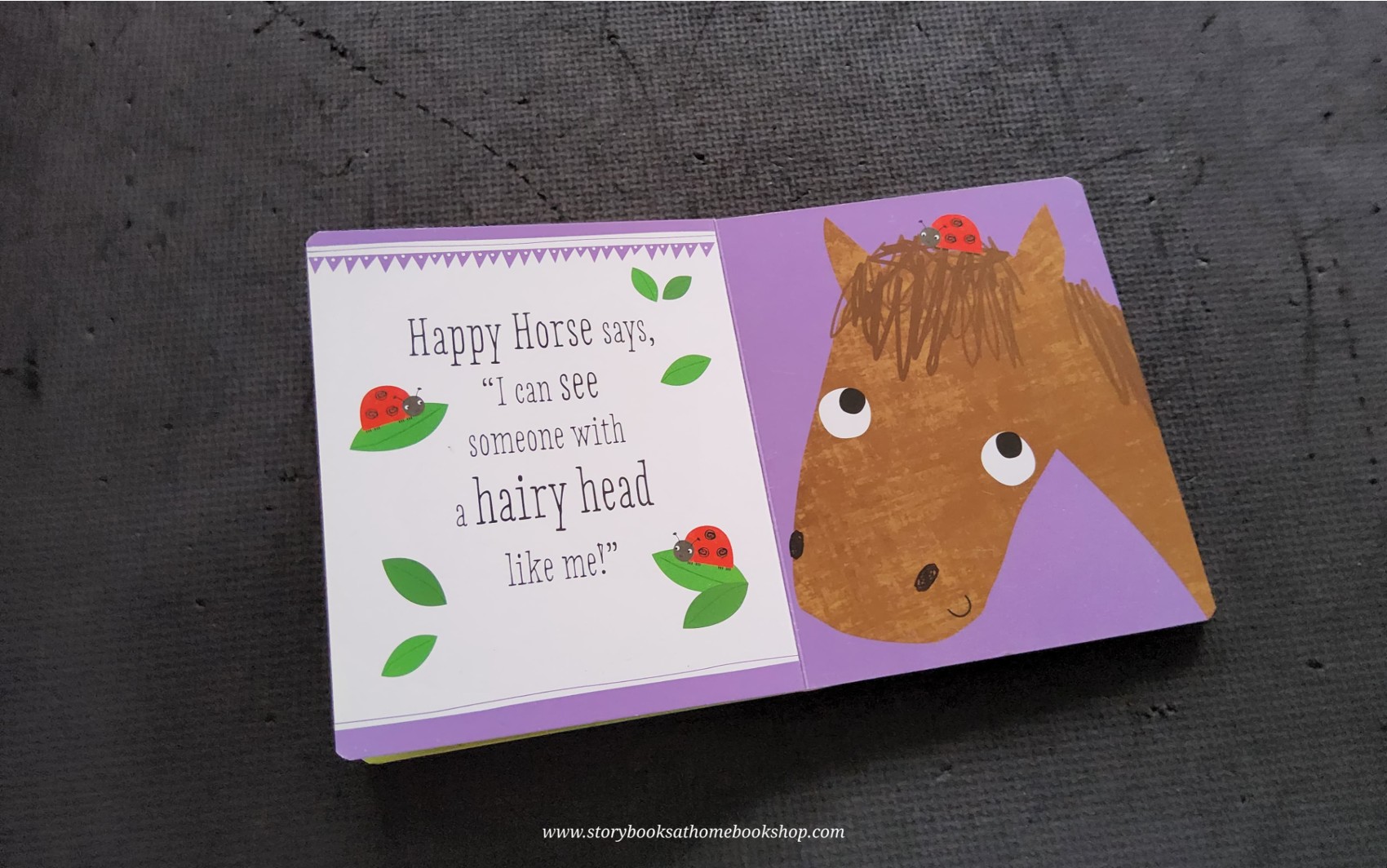 BOARD BOOK ** ð
ðPEEKABOO! A FUN MIRROR GAME