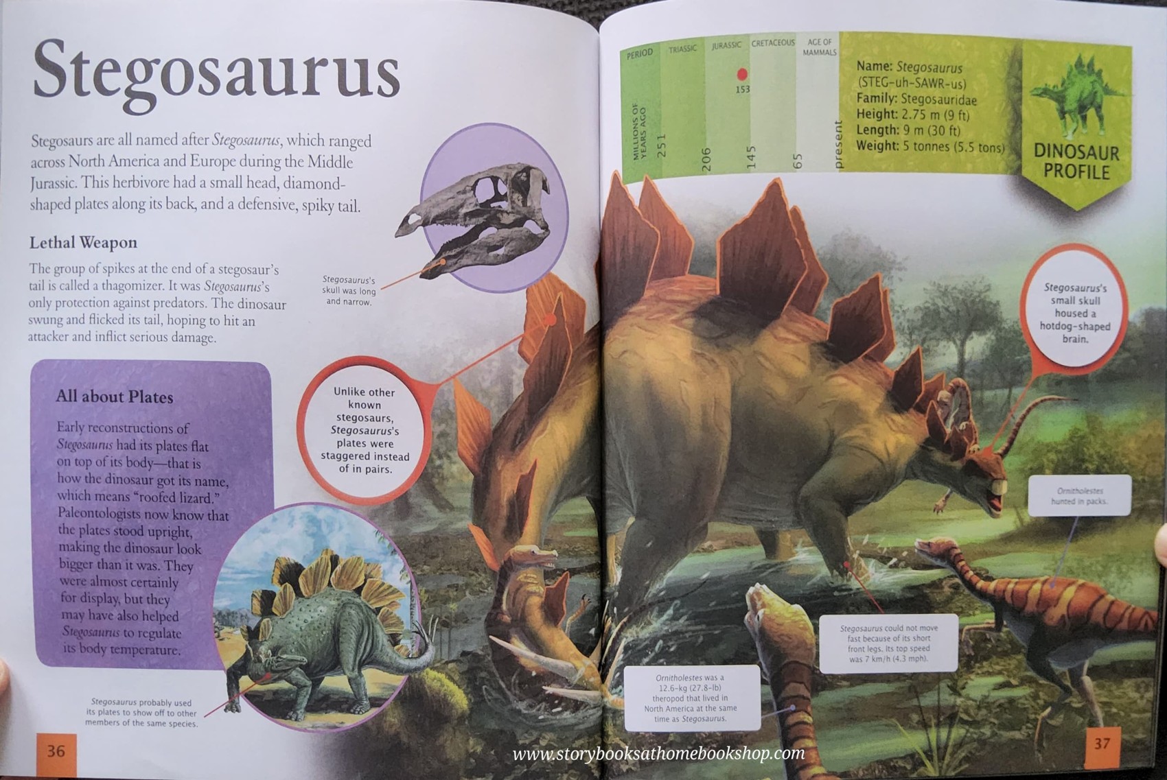 KNOWLEDGE BOOK** ð
ðTHE AMAZING BOOK OF DINOSAURS