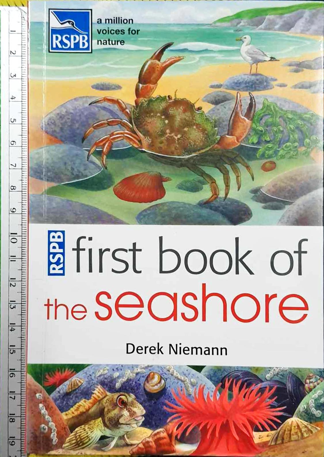 KNOWLEDGE BOOK** ♥️RSPB FIRST BOOK OF THE SEASHORE