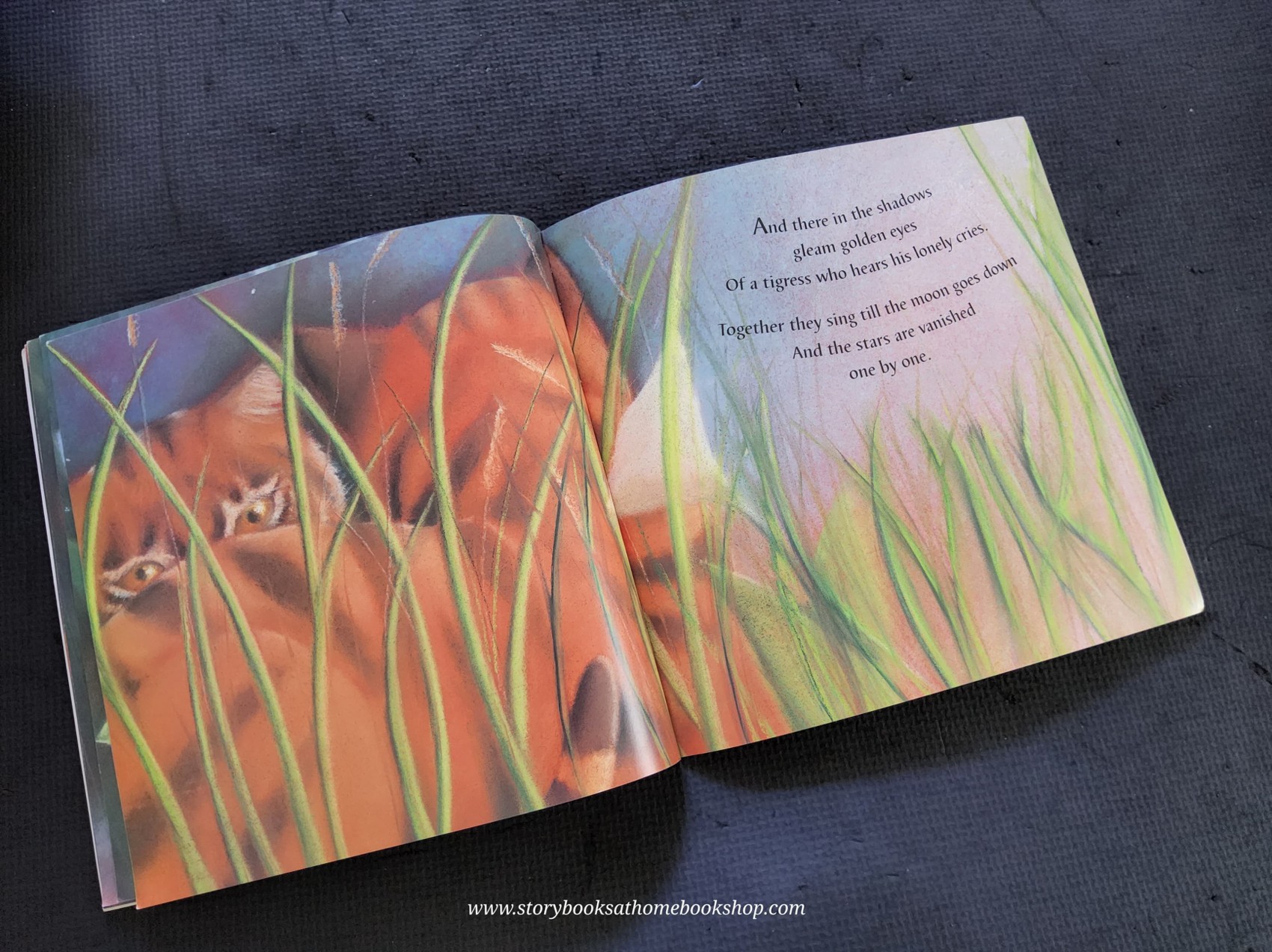 หนังสือนิทานปกอ่อน** 🍅🍓MIDNIGHT TIGER