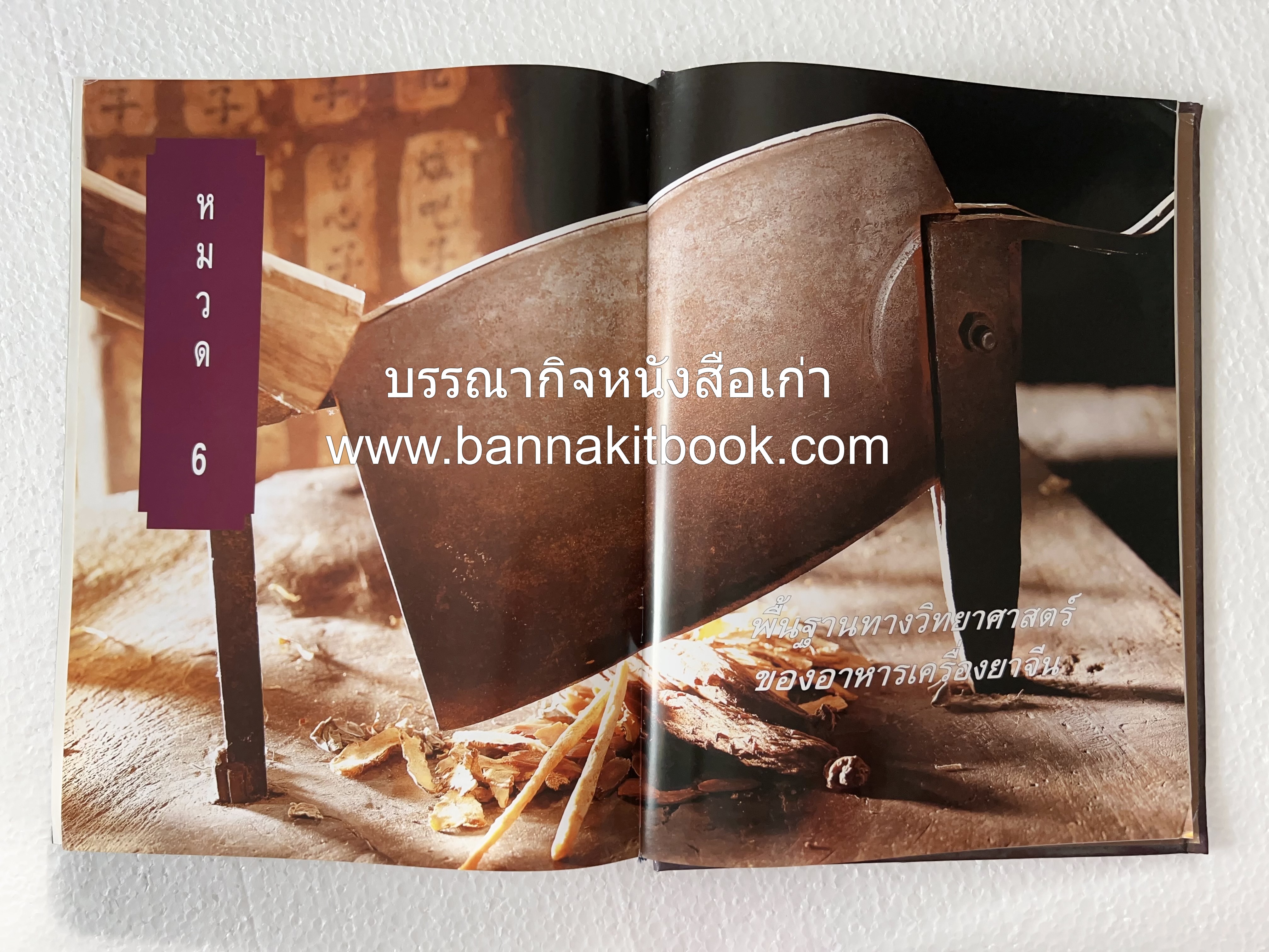 อาหารเครื่องยาจีน : หลักโภชนาการพร้อมสูตรอาหารอายุวัฒนะ โดย : รศ.ดร.ประพิณ มโนมัยวิบูลย์ และคณะ.