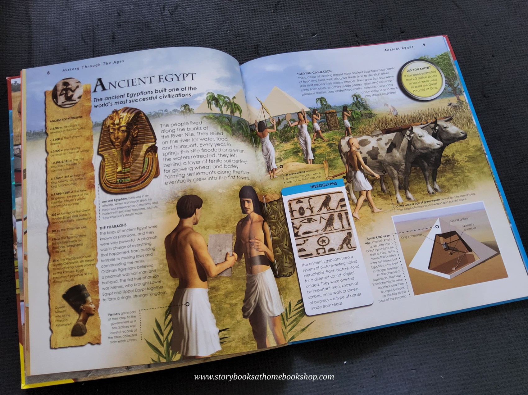 KNOWLEDGE BOOK** ♥️♥️HISTORY THROUGH THE AGES (NO GIANT POSTER)