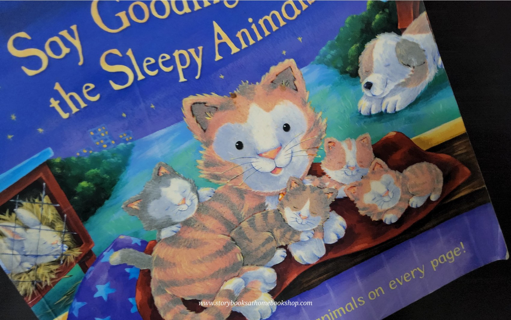 หนังสือนิทานปกอ่อน** 🍓🍓SAY GOODNIGHT TO THE SLEEPY ANIMALS! BY IANN WHYBROW
