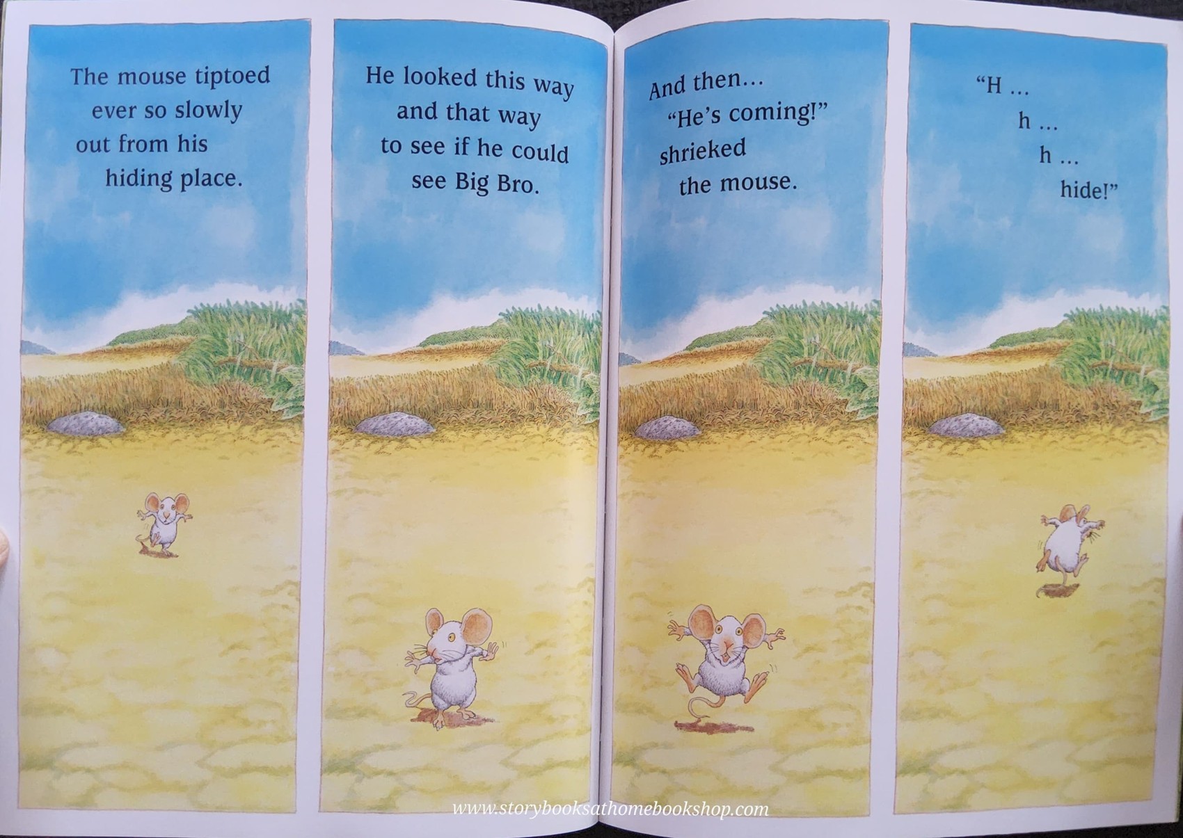 หนังสือนิทานปกอ่อน ** 🍅🍓WATCH OUT! BIG BRO'S COMING!BY JEZ ABOROUGH