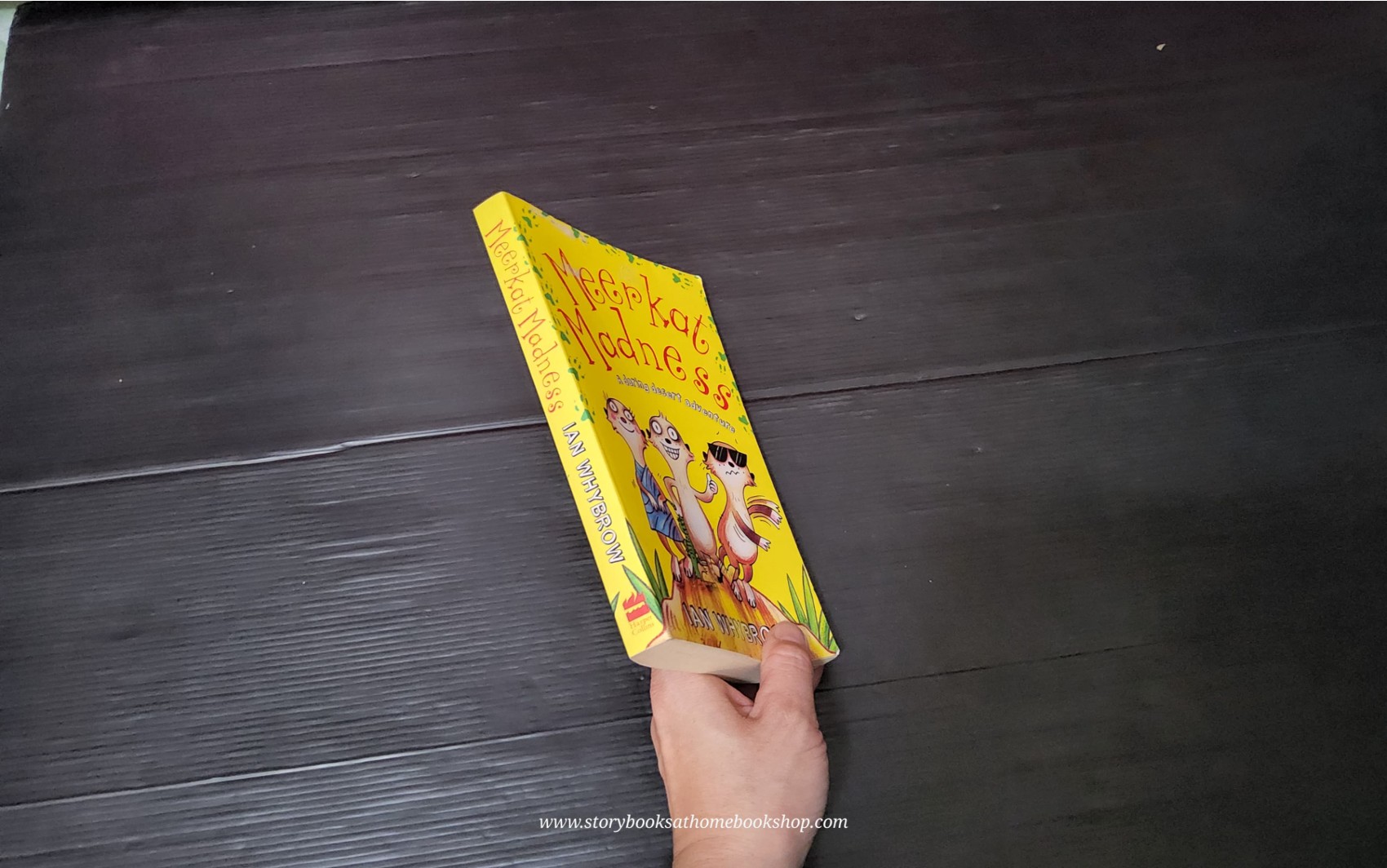 วรรณกรรมเยาวชน MEERKAT MADNESS BY IAN WHYBROW