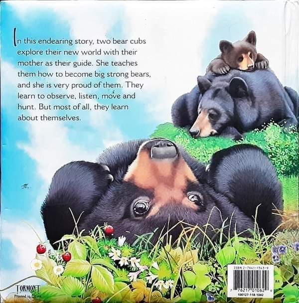 BOARD BOOK** 🍅🍓WE ARE BEARS