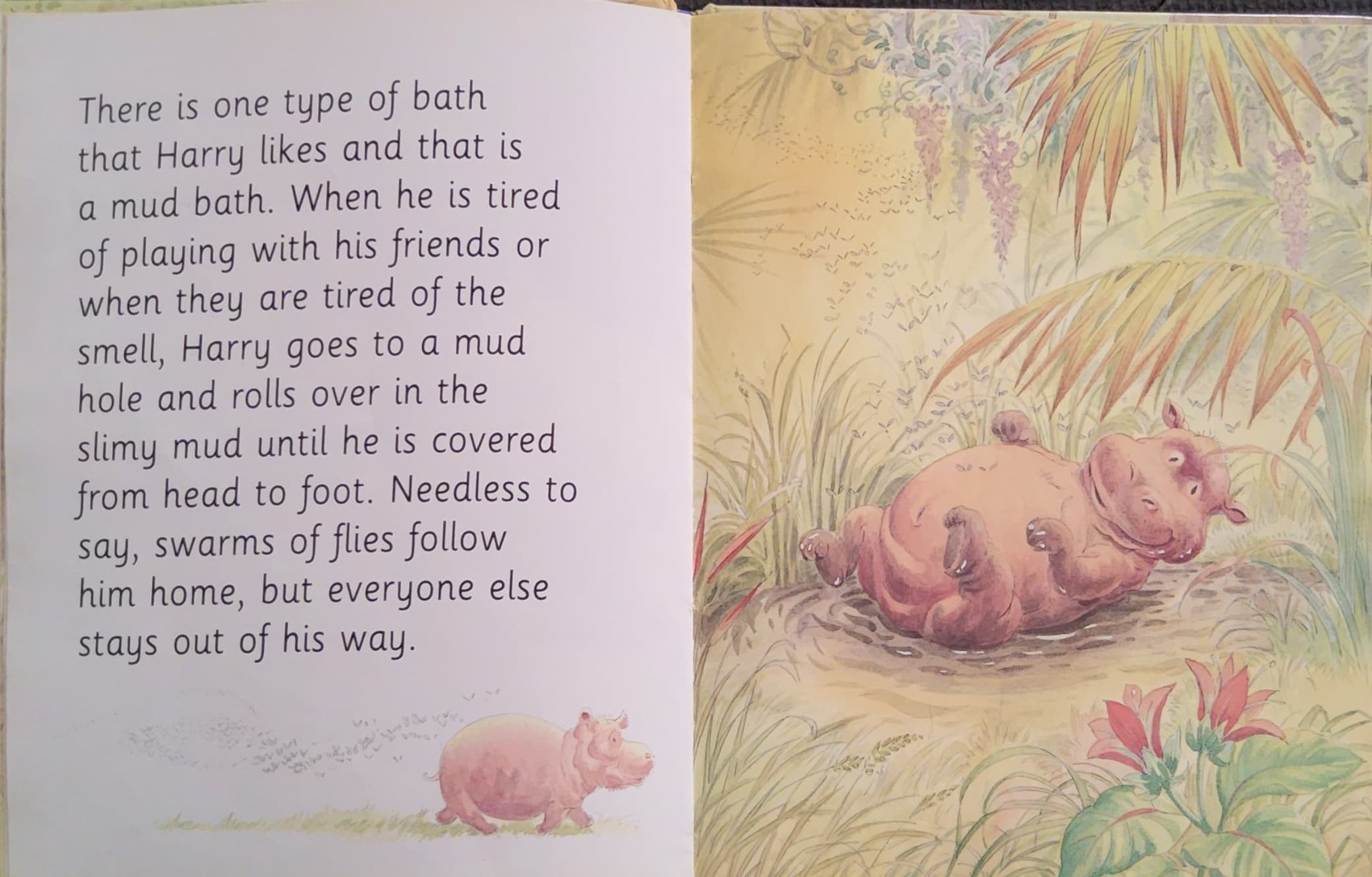 หนังสือนิทานปกแข็ง** 🍓🍓ANIMALS' PARTY