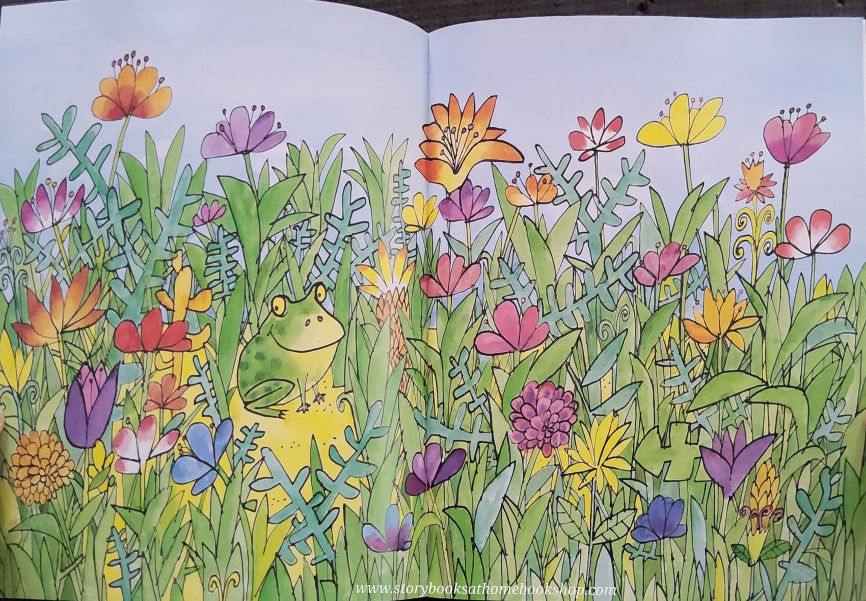 หนังสือนิทานปกอ่อน** 🍅🍓HELLO GREAT BIG BULLFROG! BY COLIN WEST