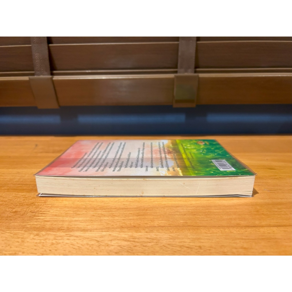 ปั้นรัก ... Diary (มือสอง) นิยาย โรมานซ์ ทำมือ