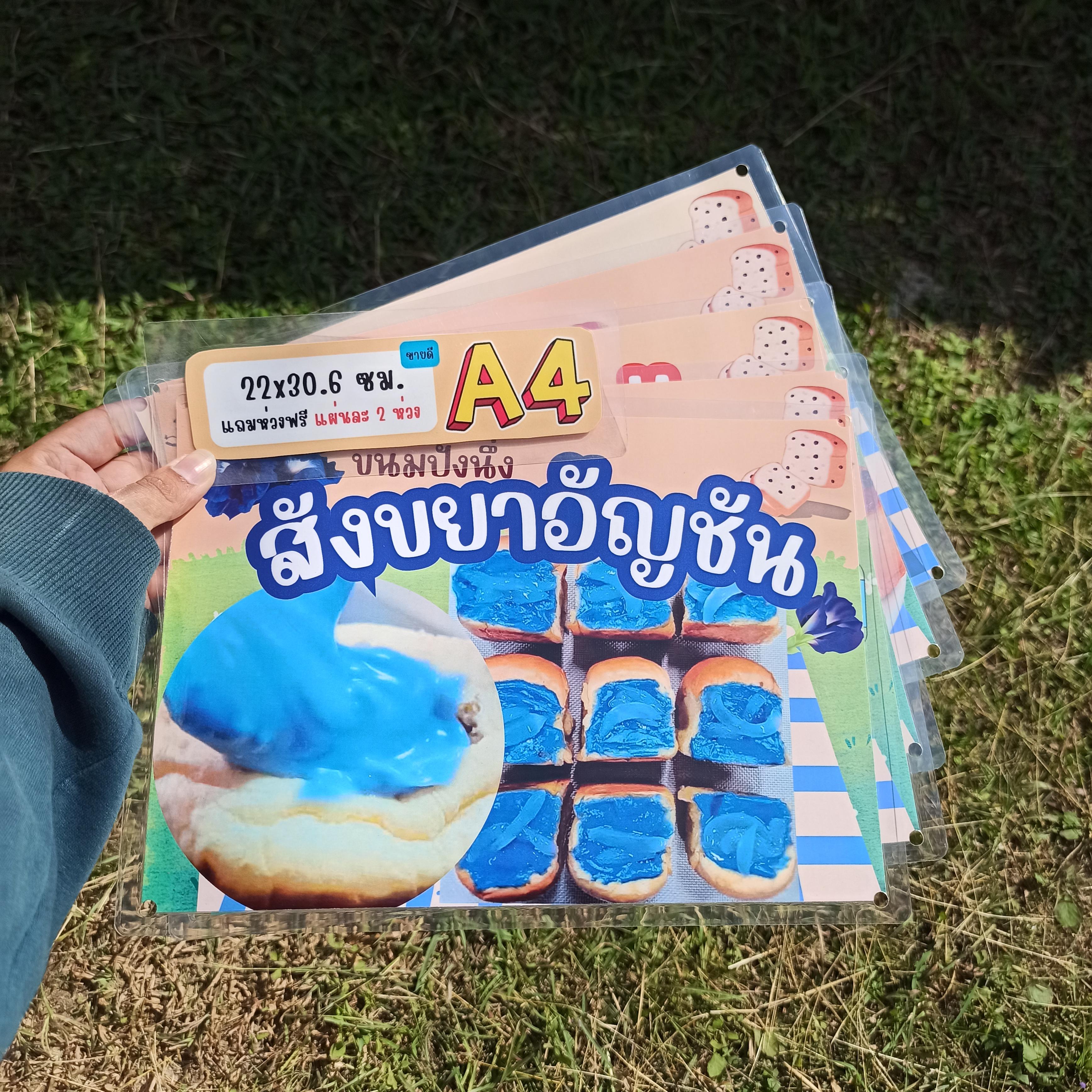 ชุดป้ายเมนู A4 ขนมปังนึ่ง 5 แผ่น | ไส้สังขยาใบเตย, สังขยาชาไทย, สังขยาอัญชัน, ไก่หยองพริกเผา, ปูอัดมายองเนส | เพิ่มยอดขายร้านของคุณทันที! | รหัส 4119