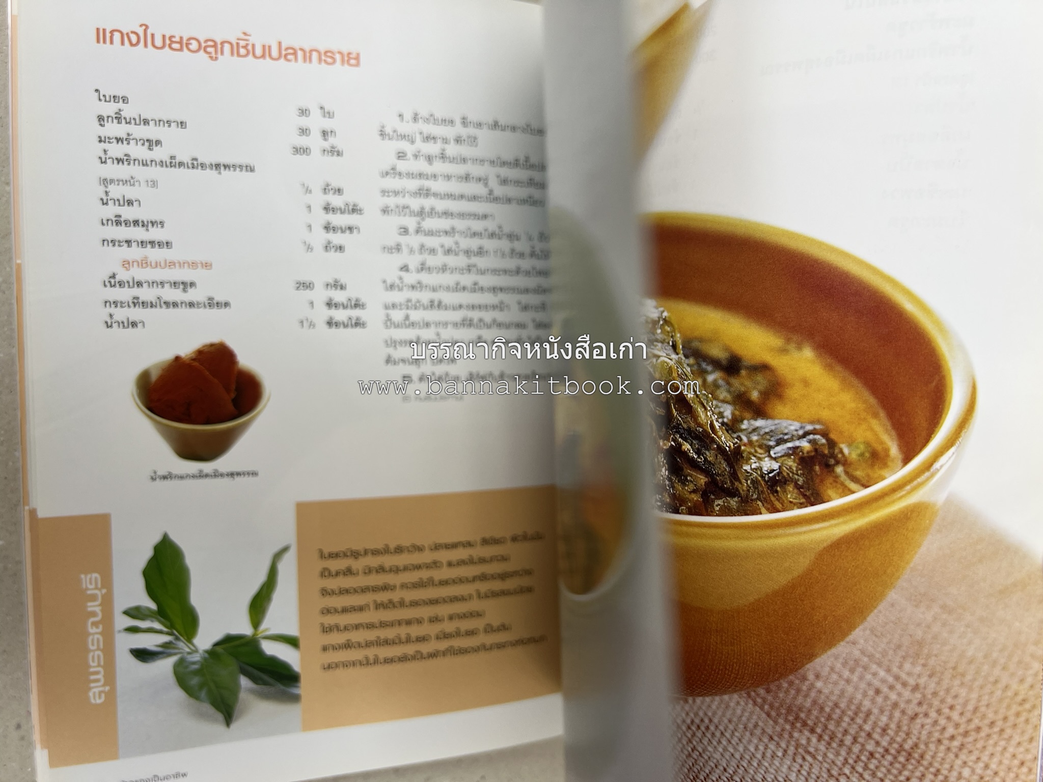 ข้าวแกงเป็นอาชีพ โดย : สำนักพิมพ์แสงแดด.