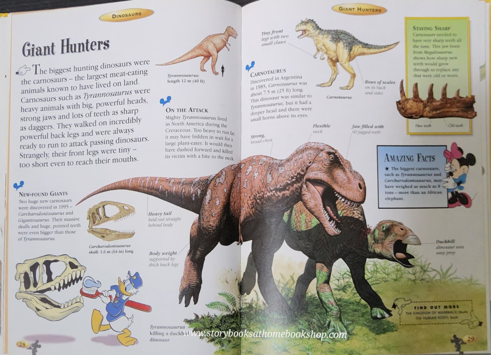 KNOWLEDGE BOOK** ♥️DISNEY THE WONDERFUL WORLD OF KNOWLEDGE: DINOSAURS