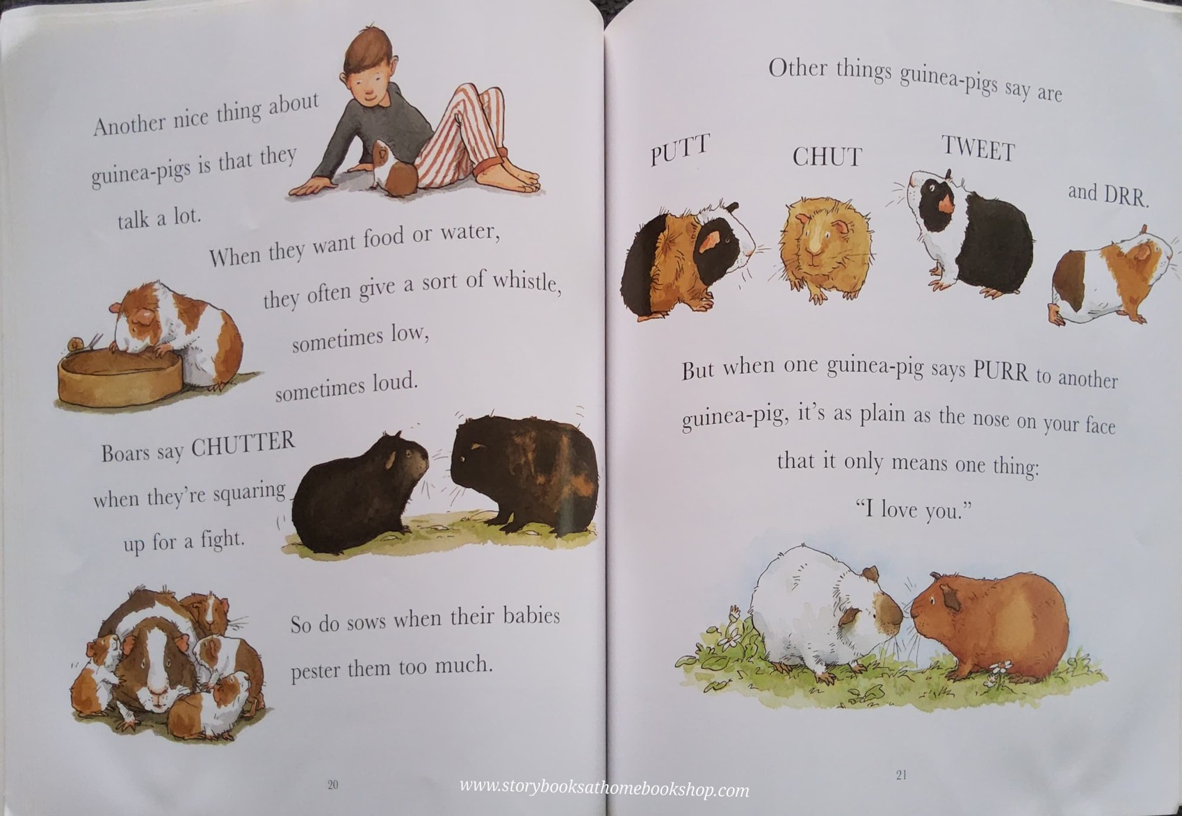 หนังสือนิทานปกอ่อน ** 🍅🍅I LOVE GUINEA-PIGS BY DICK KING-SMITH (NATURE STORYBOOK)