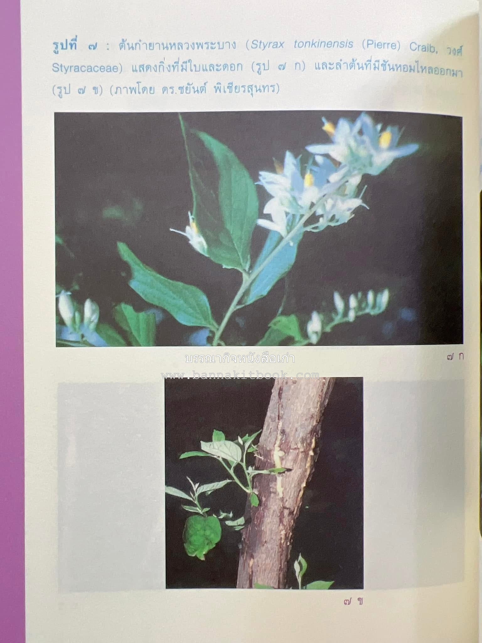 รวมปาฐกถาชุด “สิรินธร” 5 เล่มชุด (25 หัวข้อเรื่อง) โดย : จุฬาลงกรณ์มหาวิทยาลัย.