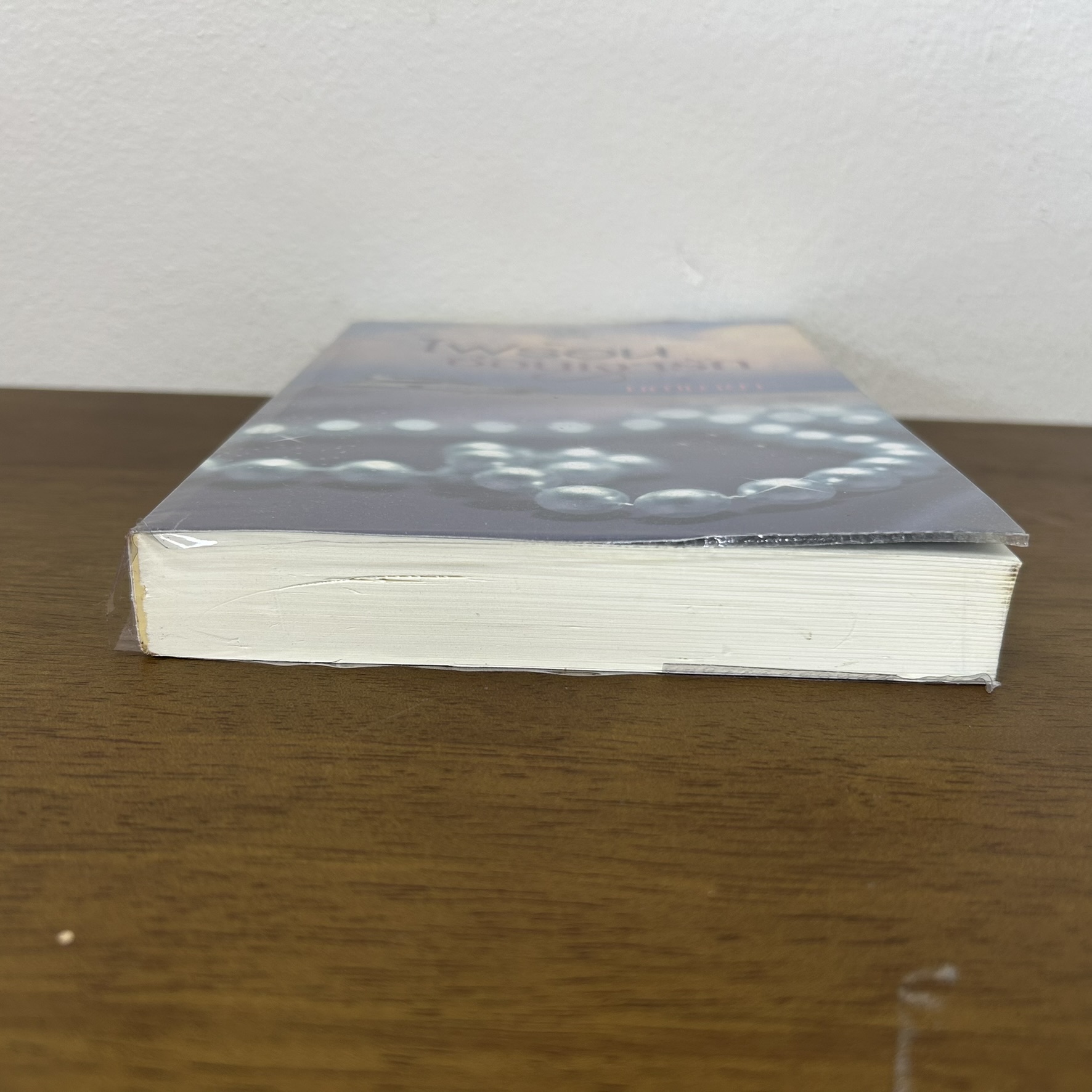 ไฟร้อนซ่อนเงารัก ... มณีมายา (มือสอง) นิยาย โรมานซ์ พลอยวรรณกรรม