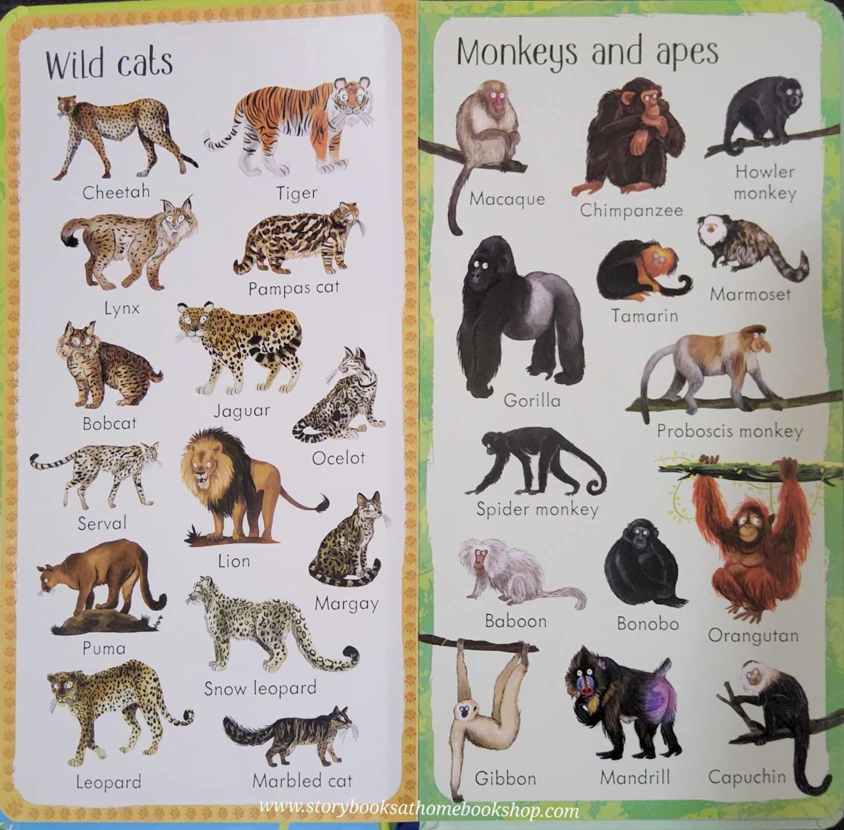 BOARD BOOK** ð
ð
USBORNE 199 ZOO ANIMALS