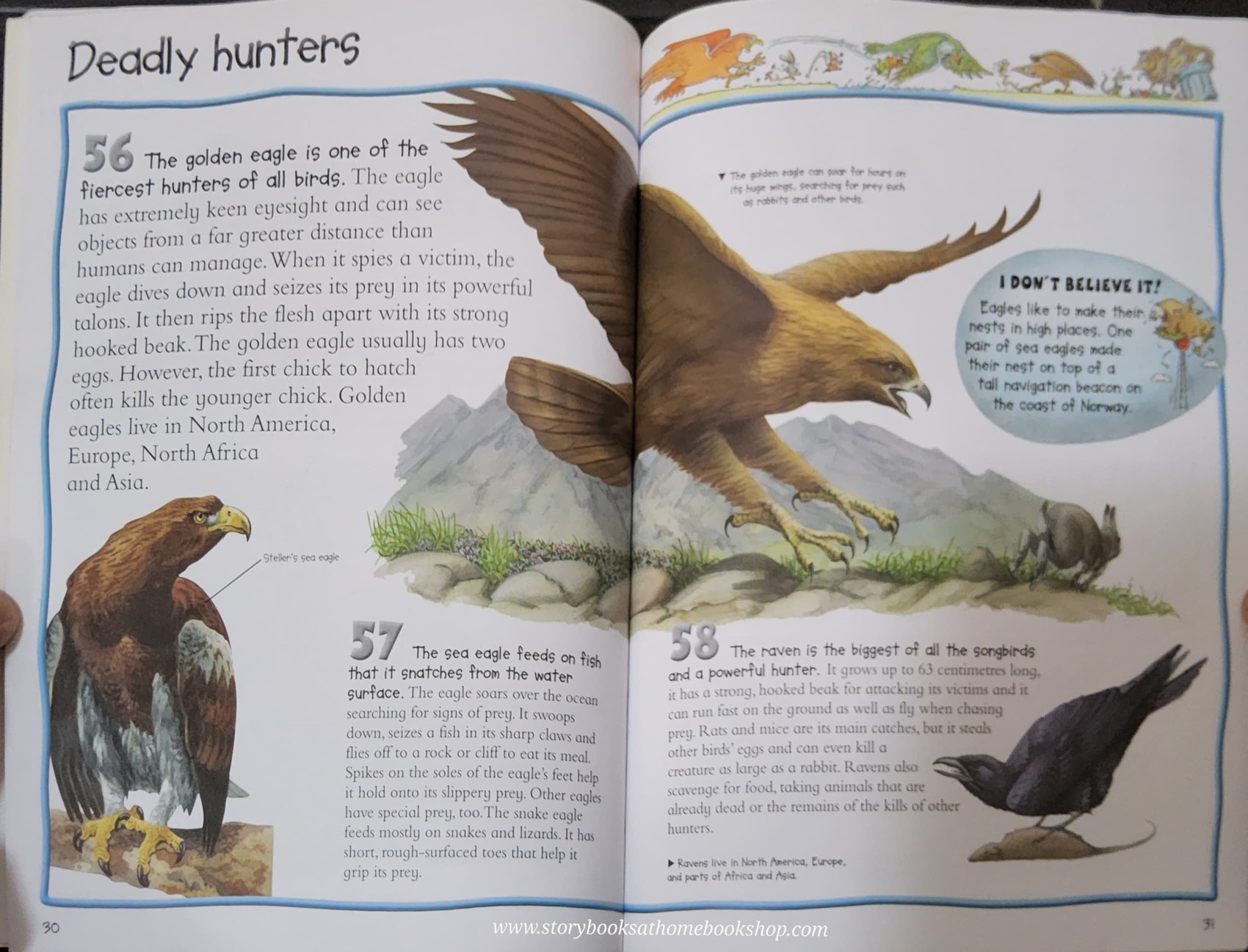 KNOWLEDGE BOOK** ð
ð100 FACTS BIRDSâĨïļ