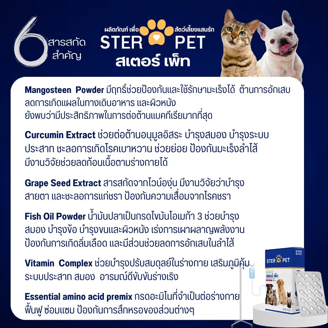 เซตแนะนำ (ชุด 1 เดือน) สเตอร์ เพ็ท Ster Pet เนื้องอกหมาแมว ก้อนเนื้อหมาแมว มะเร็งสุนัขแมว ลดอักเสบ ลดขนาดก้อนเนื้อ ซึม ไม่ร่าเริง เบื่ออาหาร น้ำหนักลด ไตวายหมาแมว แผลยุบเร็ว ( 30 แคปซูล)